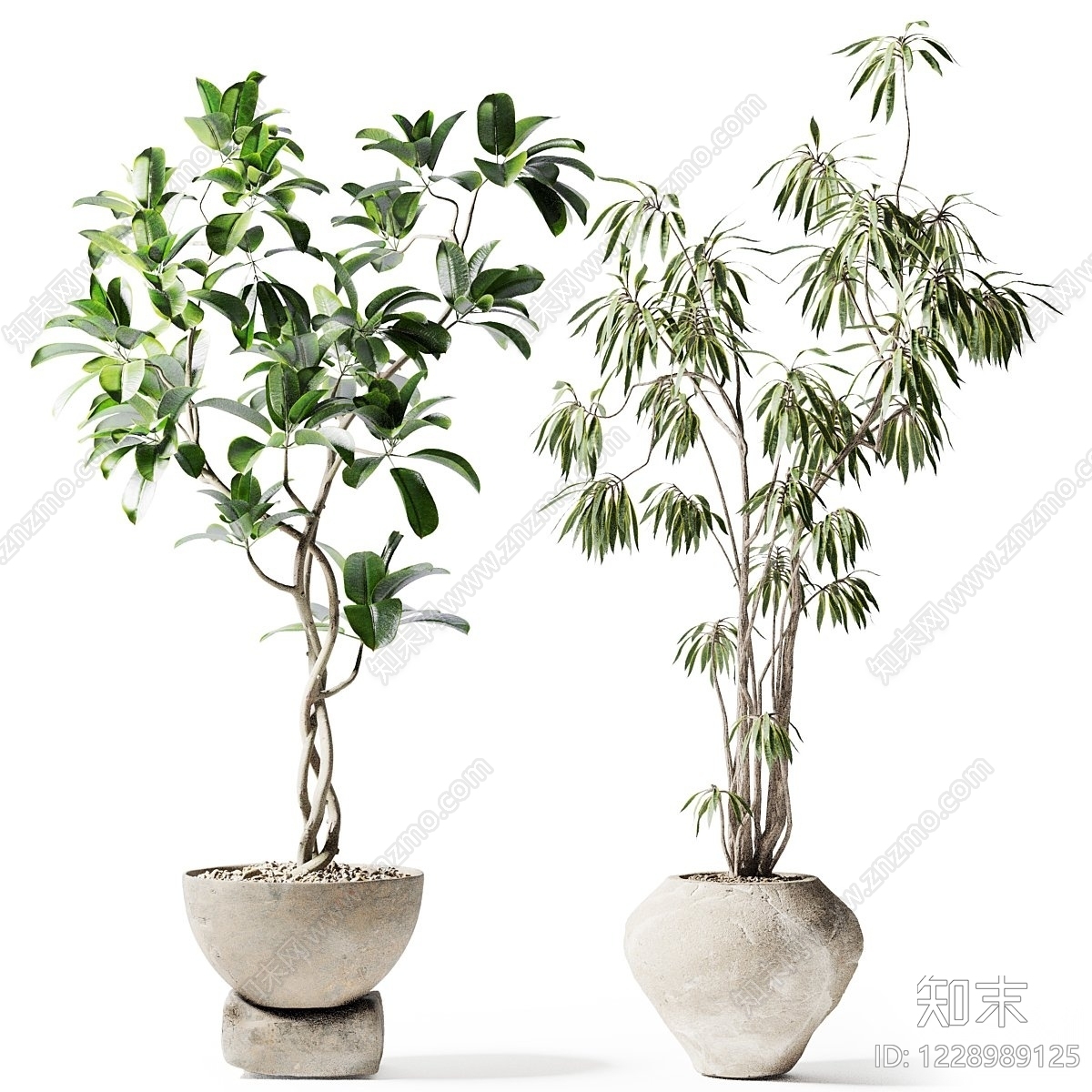 侘寂盆景3D模型渲染效果图
