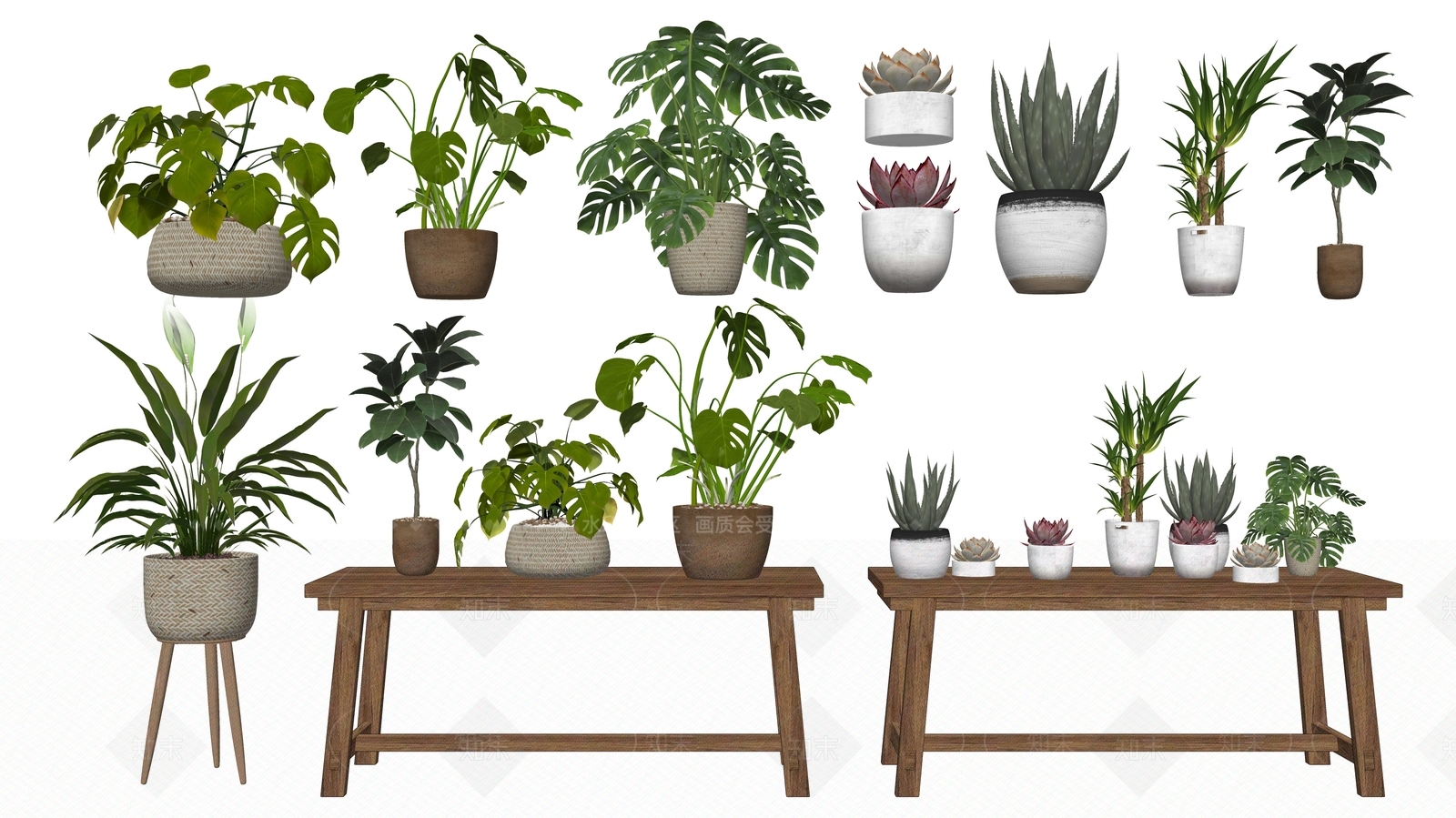 北欧植物组合SU模型下载【ID:1229016638】