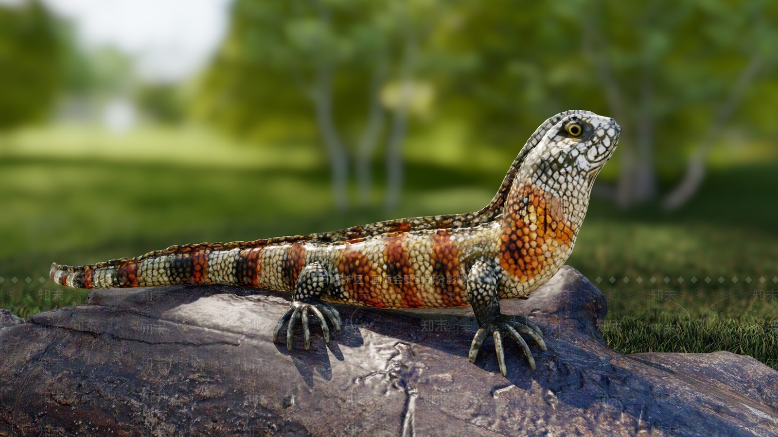 爬行类动物3D模型下载【ID:1229018578】