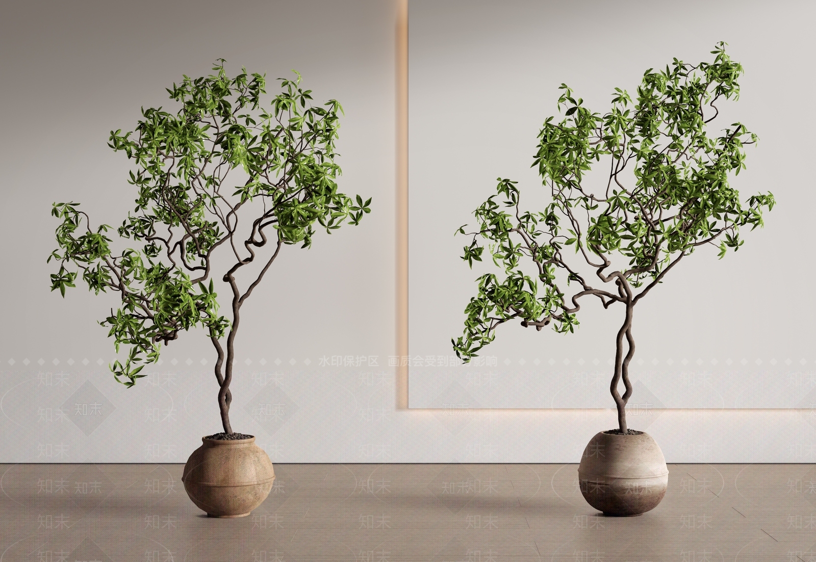 侘寂盆栽3D模型渲染效果图