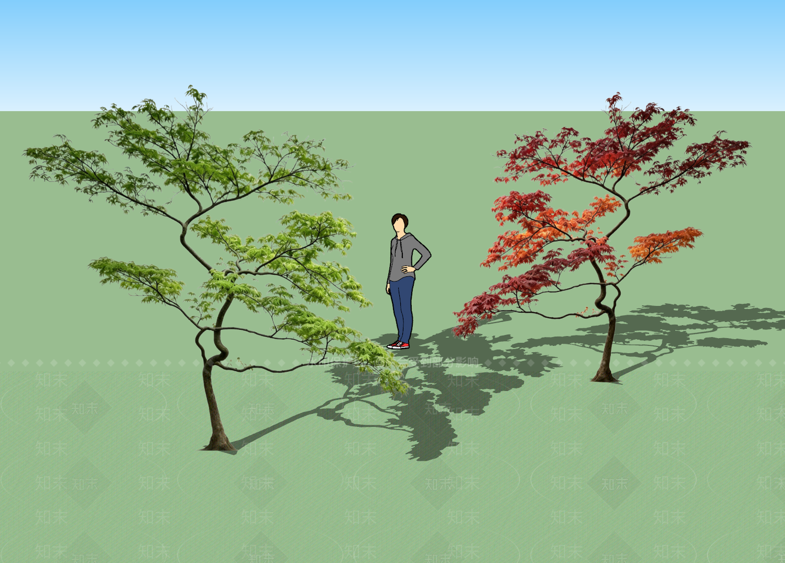 日式乔木SU模型下载【ID:1229037525】