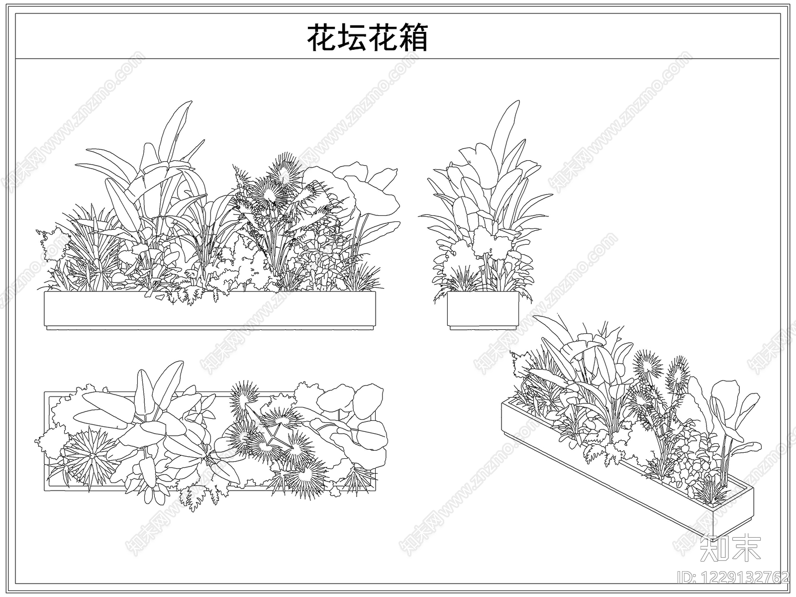 灌木种植CAD图纸