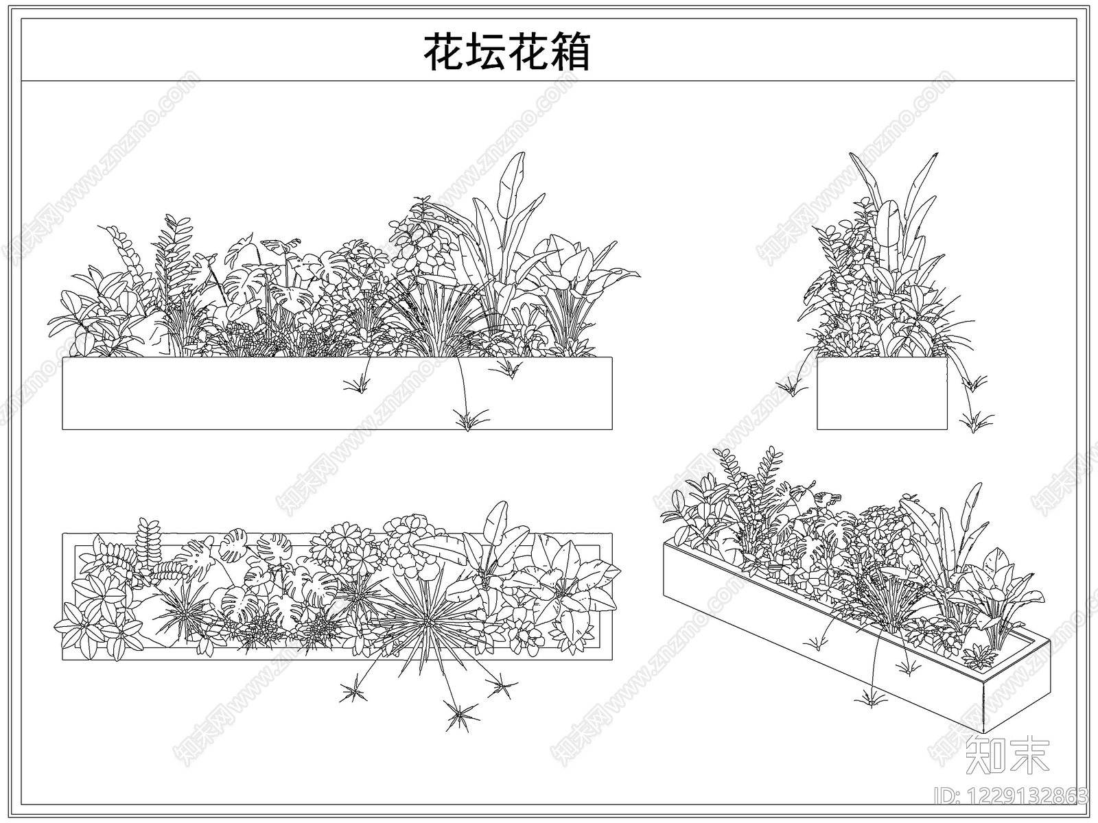 灌木种植CAD图纸