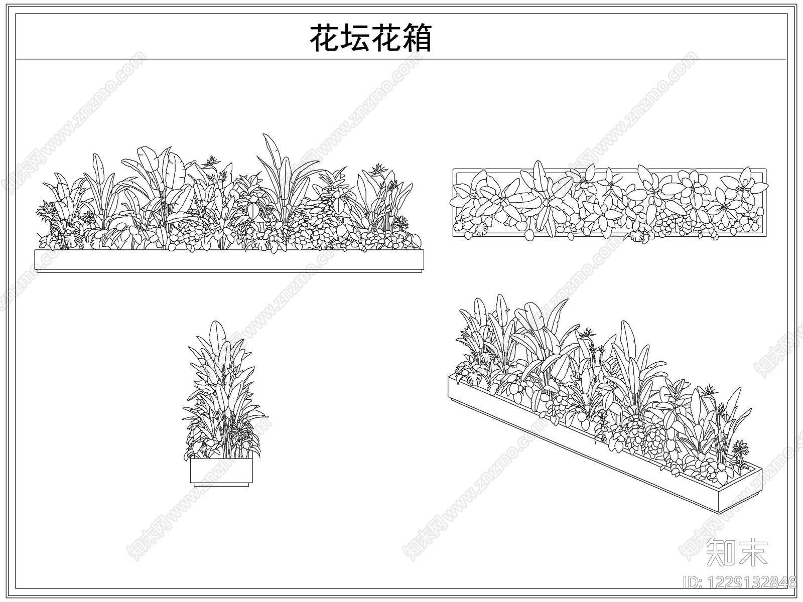 灌木种植CAD图纸
