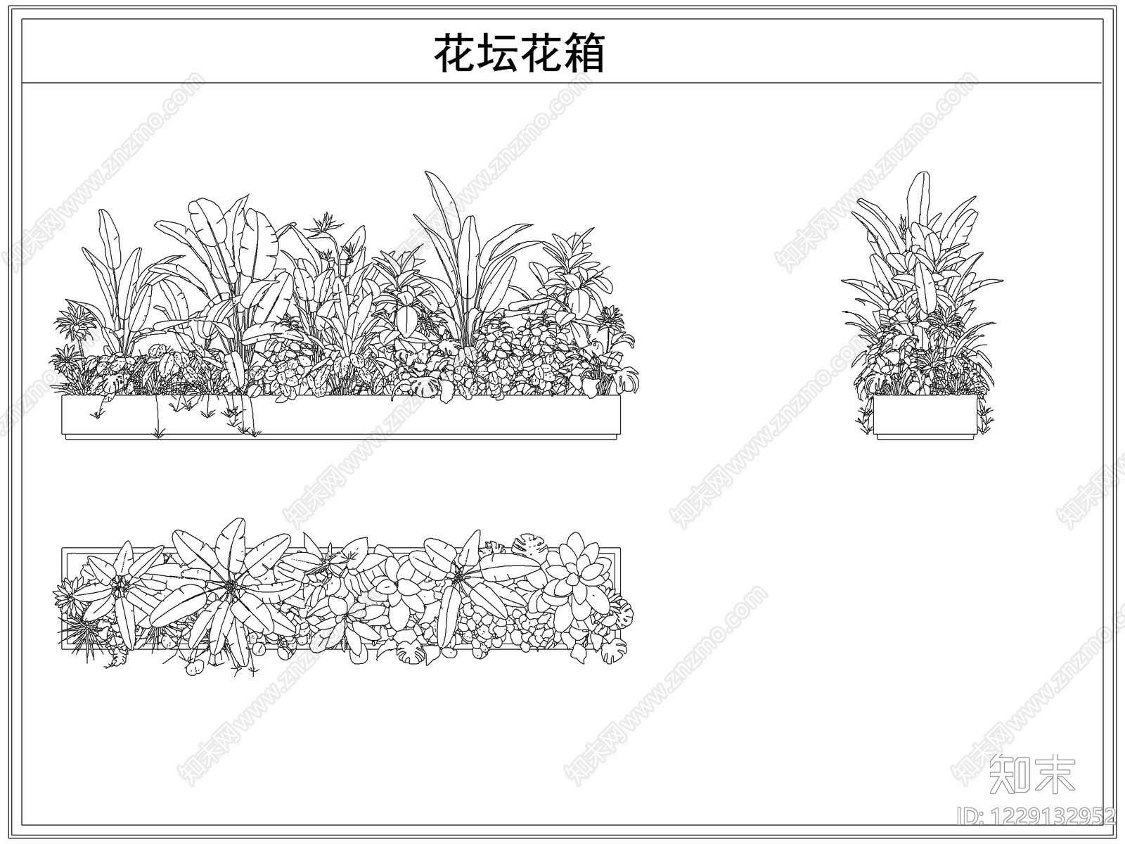 灌木种植CAD图纸