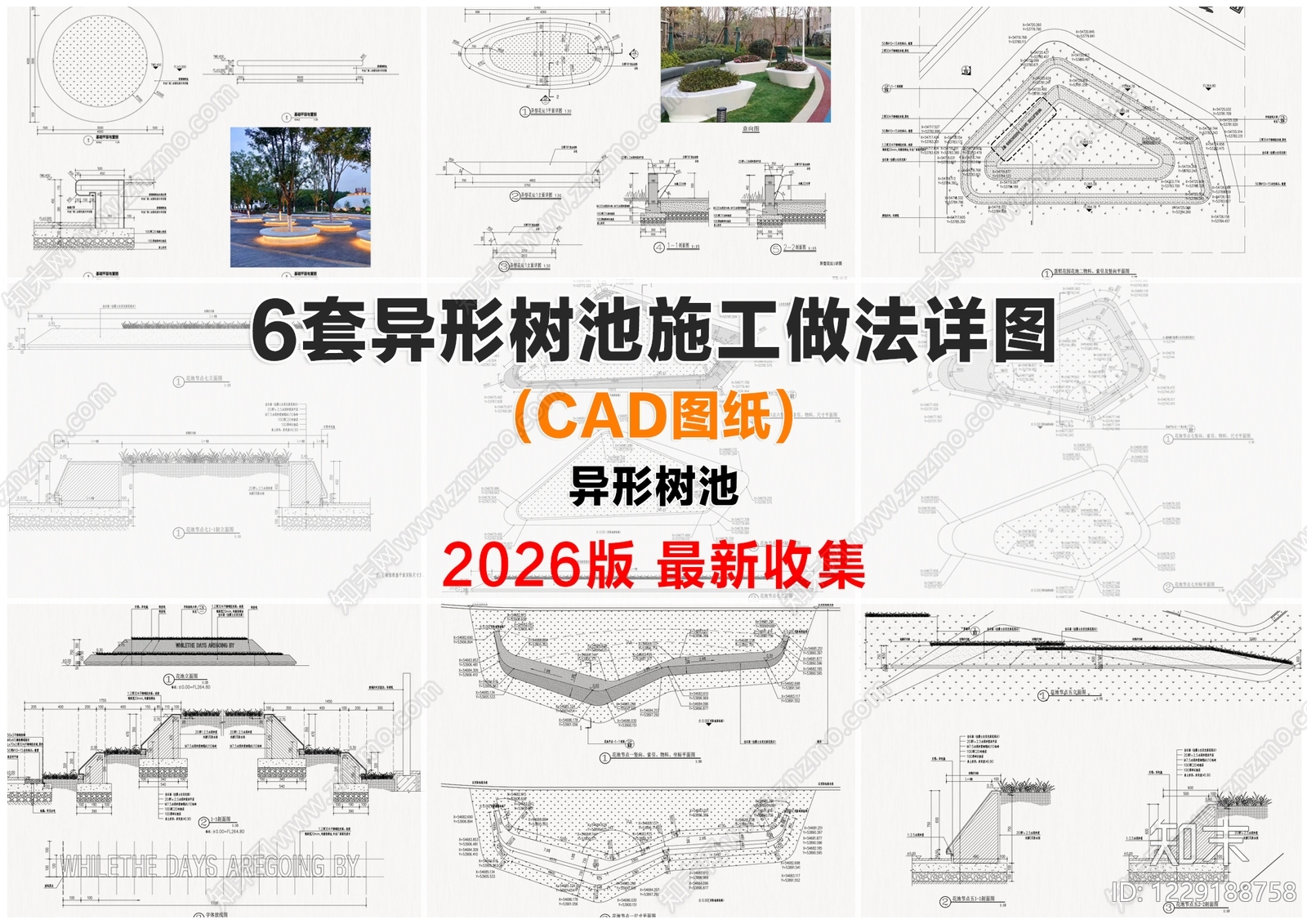 树池CAD图纸