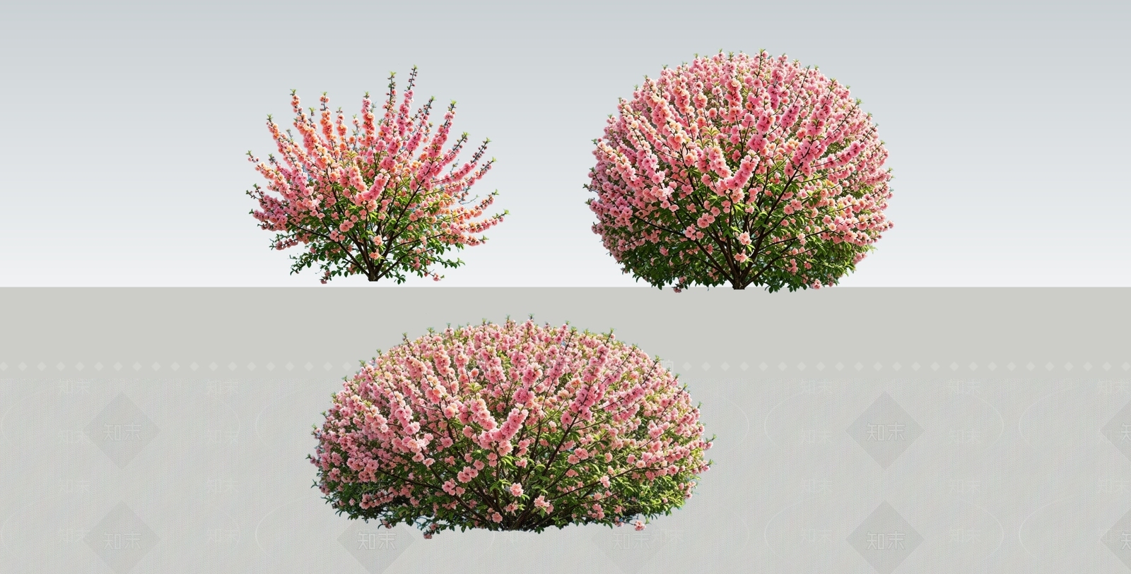 灌木SU模型下载【ID:1229191759】
