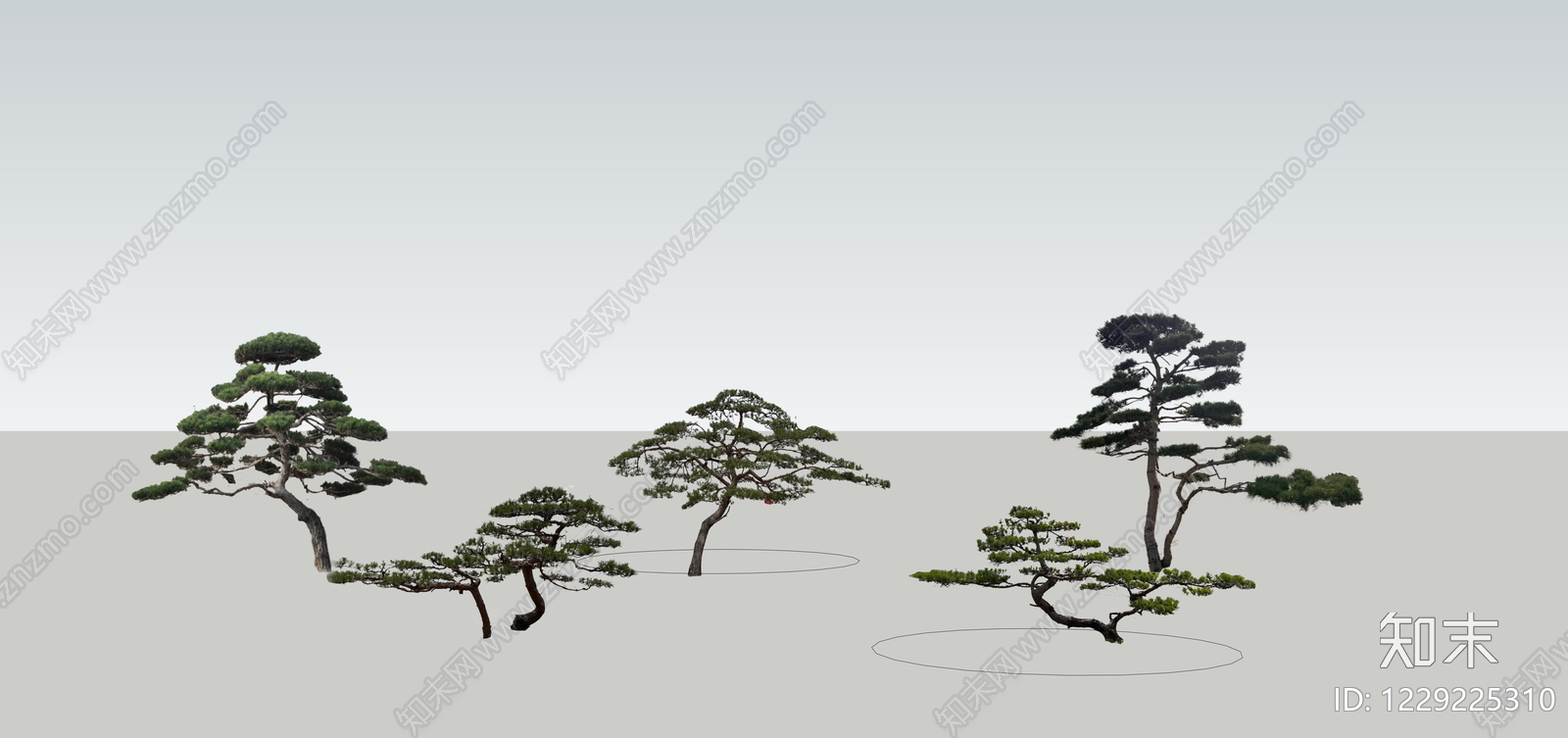 新中式景观乔木SU模型下载【ID:1229225310】