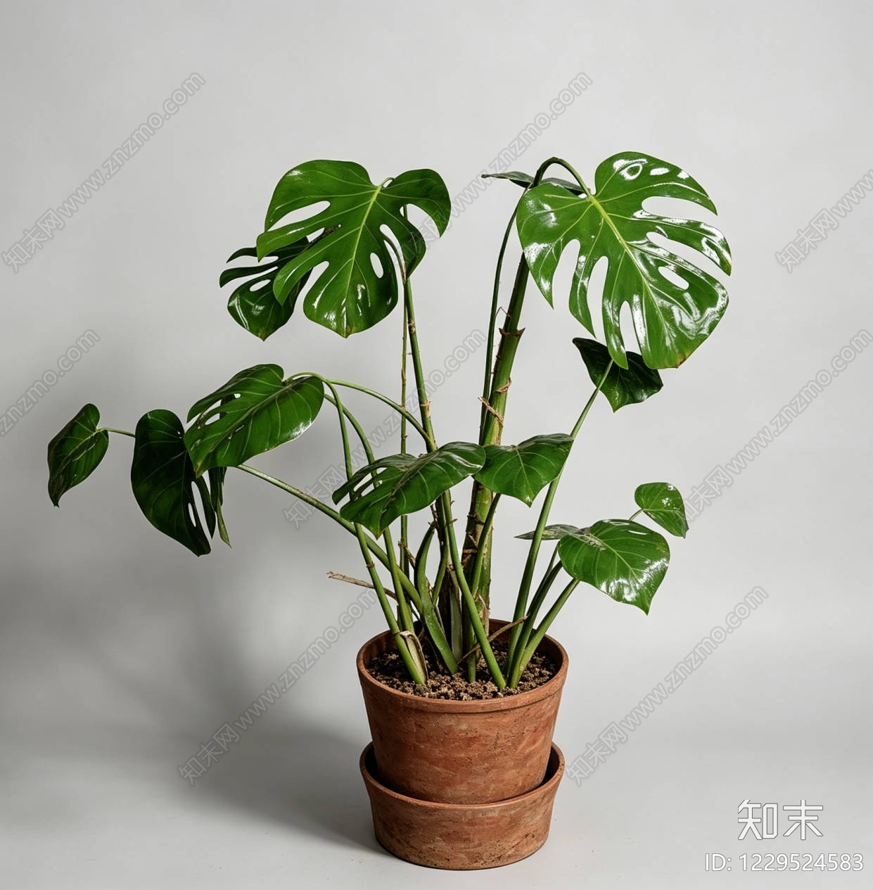 侘寂盆栽SU模型下载【ID:1229524583】