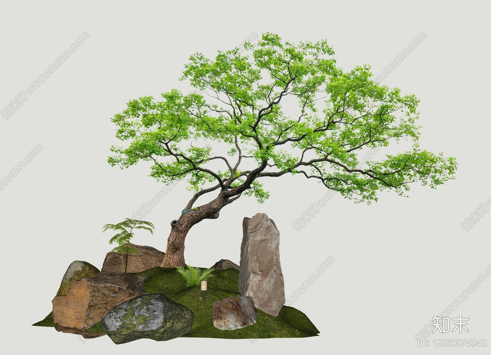 禅意乔木SU模型下载【ID:1229674045】