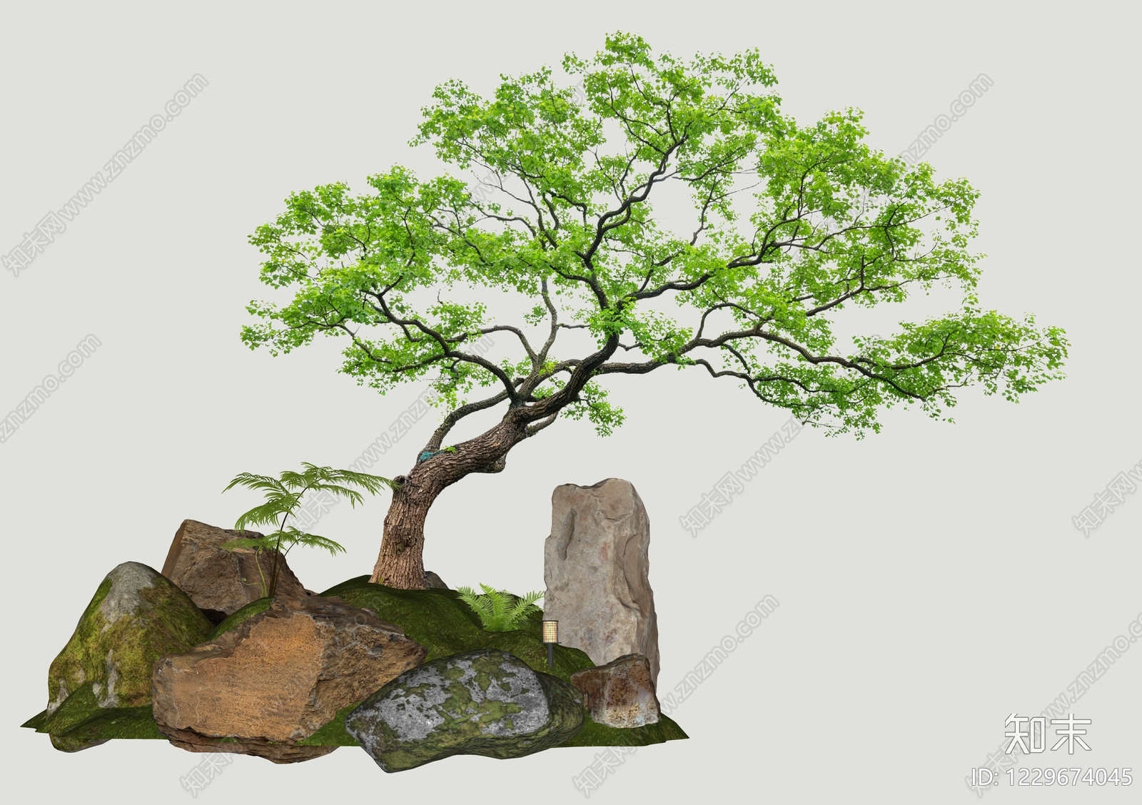 禅意乔木SU模型下载【ID:1229674045】
