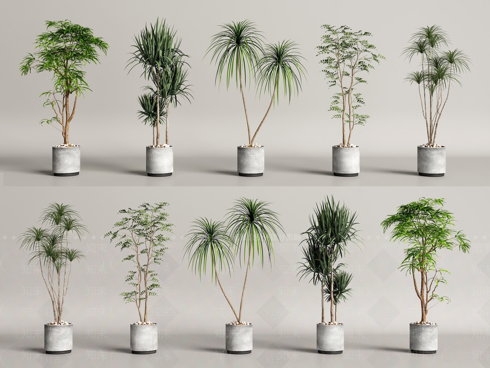 现代简约盆栽3D模型下载【ID:1229693764】