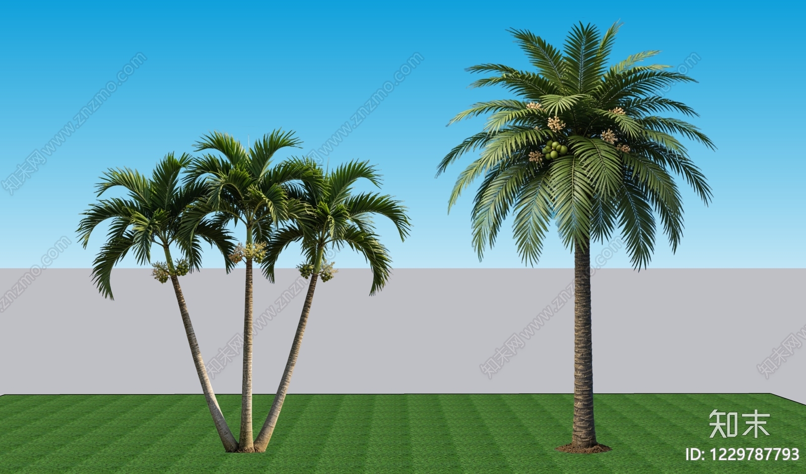 极简乔木SU模型下载【ID:1229787793】