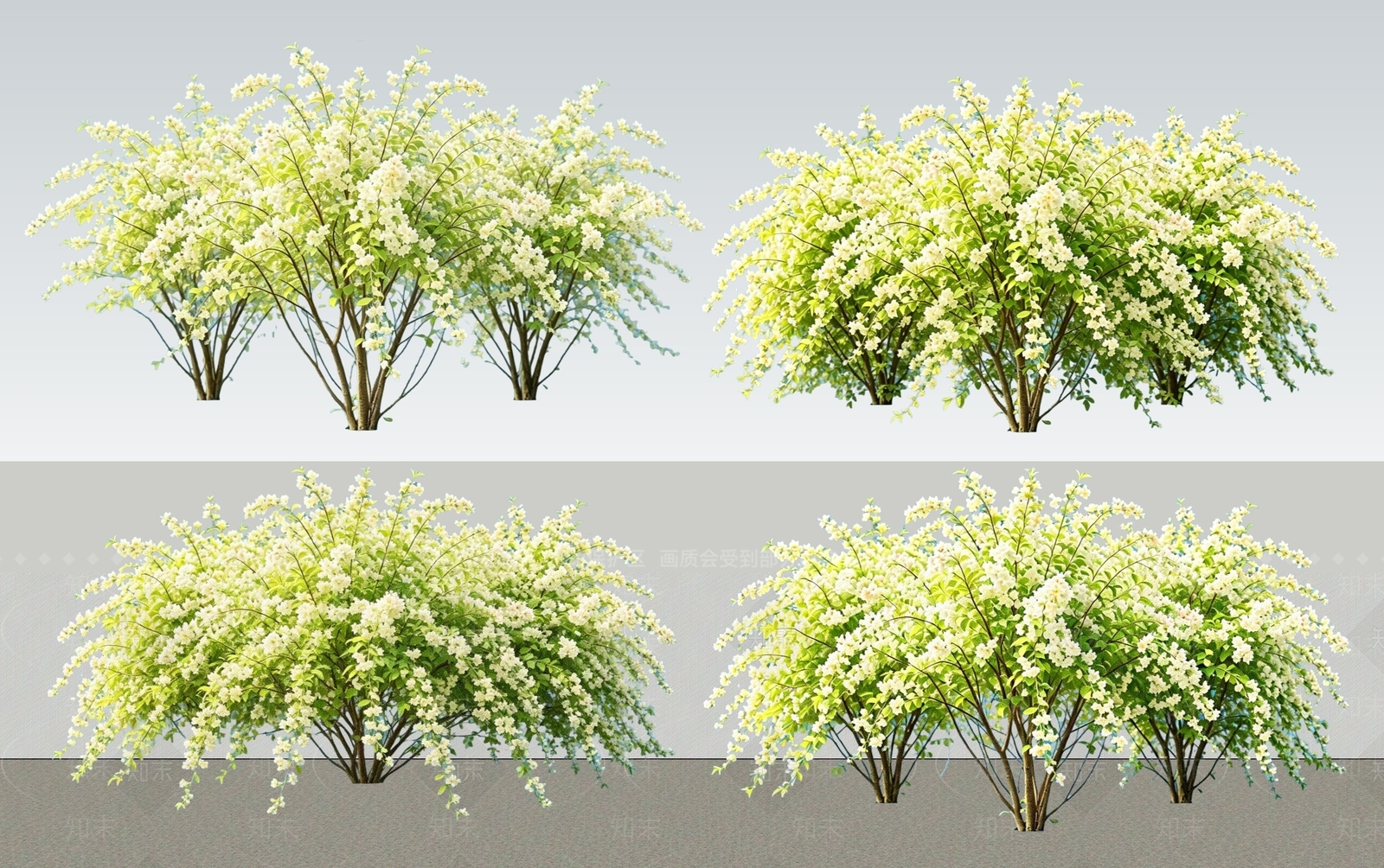 灌木SU模型下载【ID:1230048391】