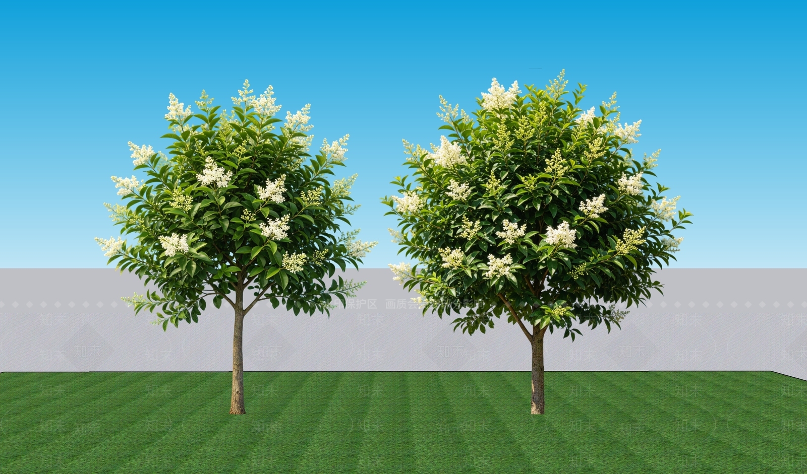 极简乔木SU模型下载【ID:1230054697】