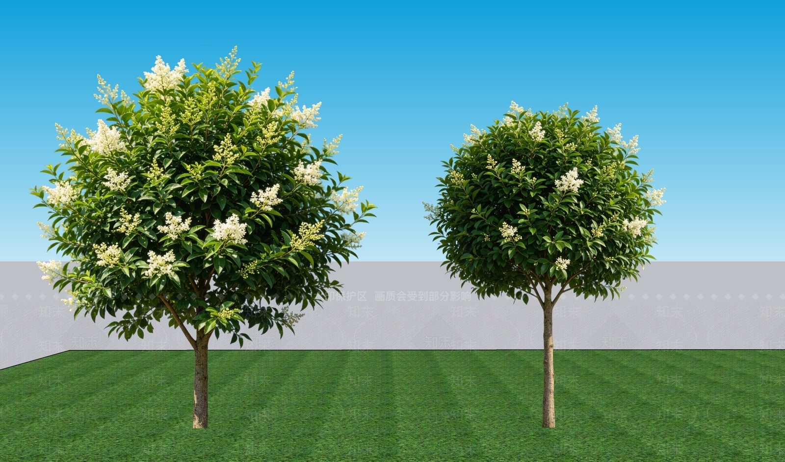 现代主义乔木SU模型下载【ID:1230055291】