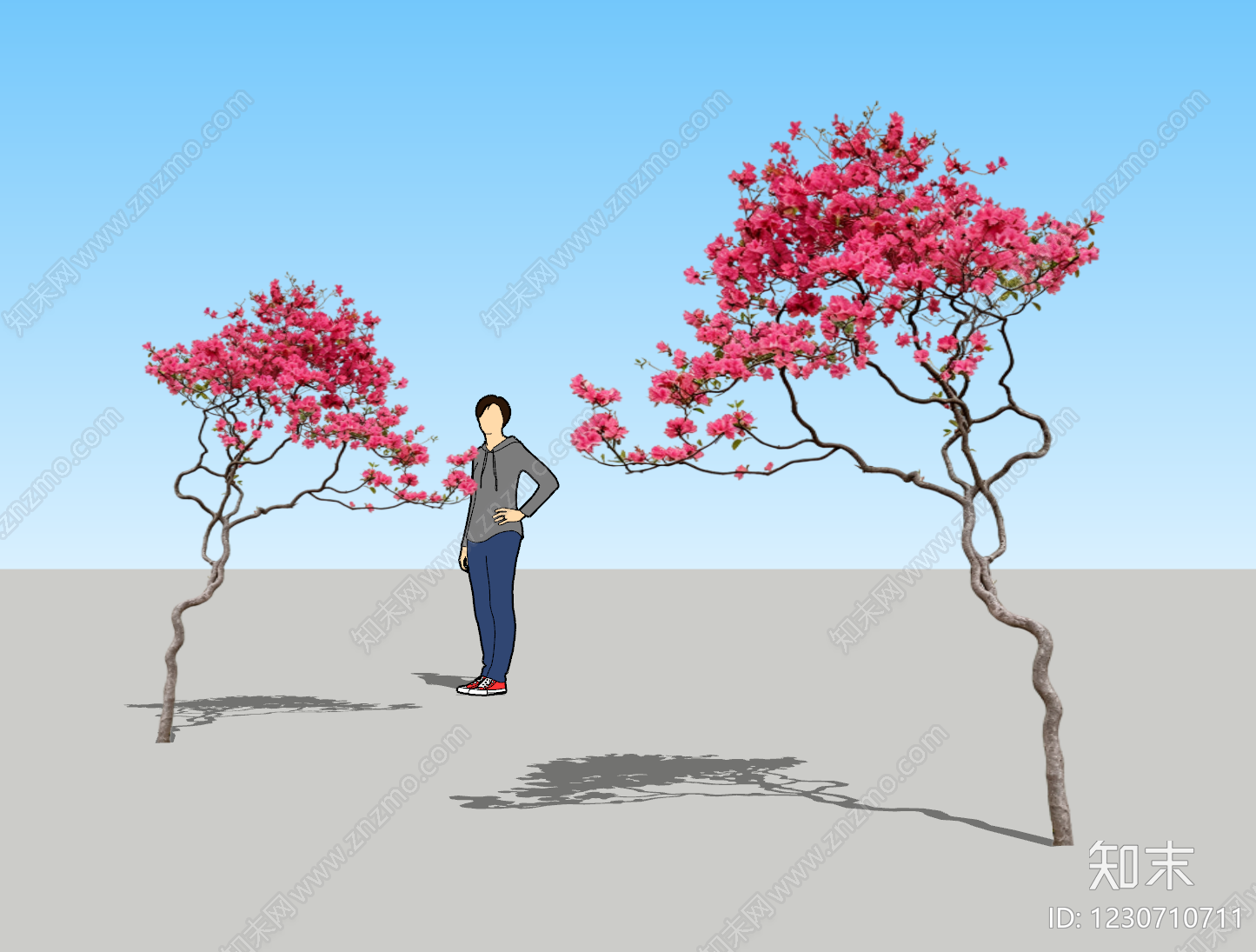新中式景观灌木SU模型下载【ID:1230710711】