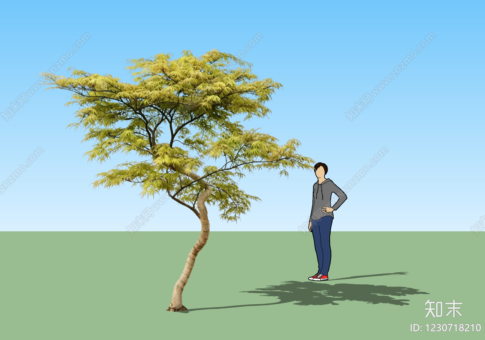极简乔木SU模型下载【ID:1230718210】