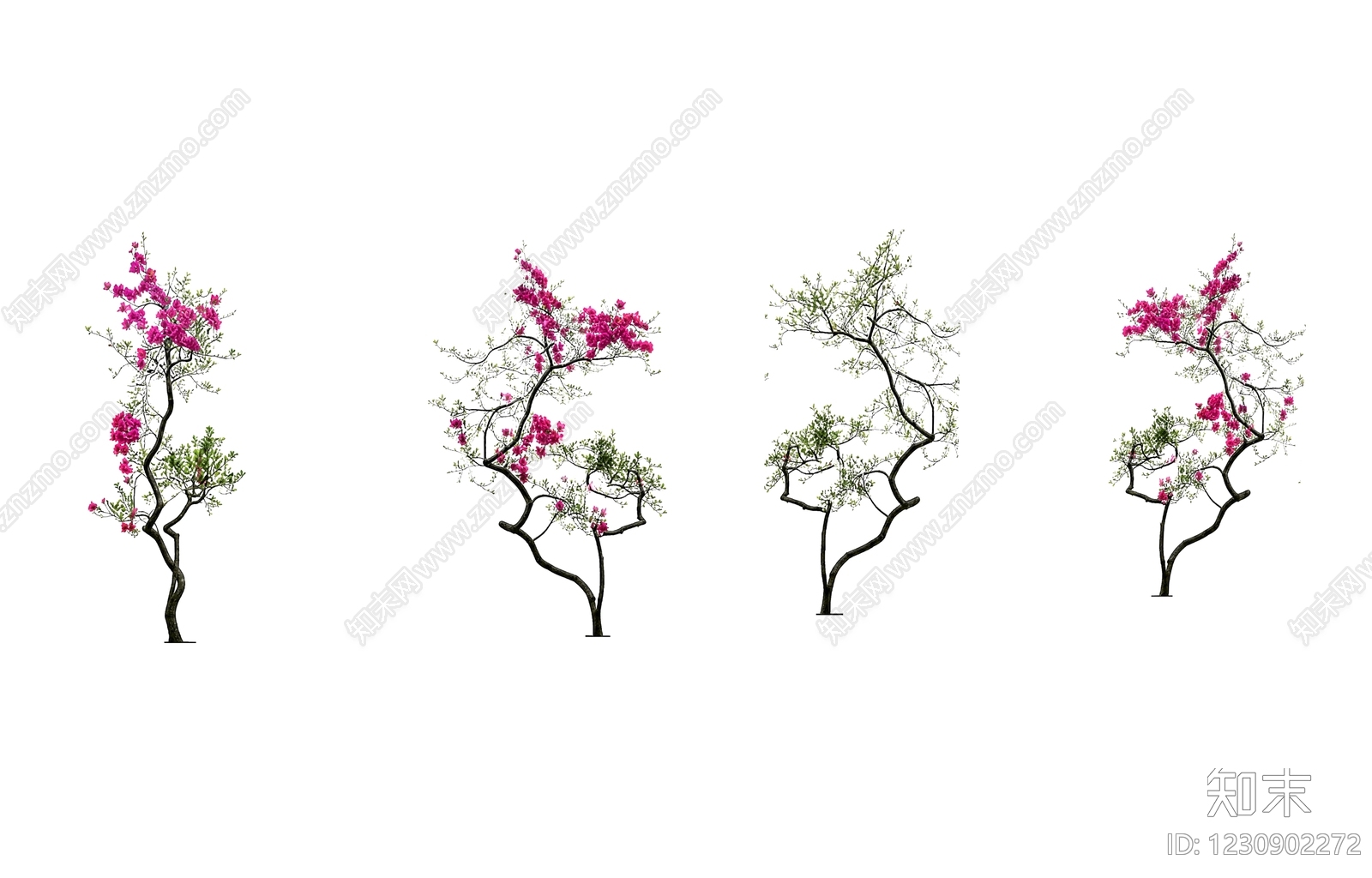 中式灌木SU模型草图