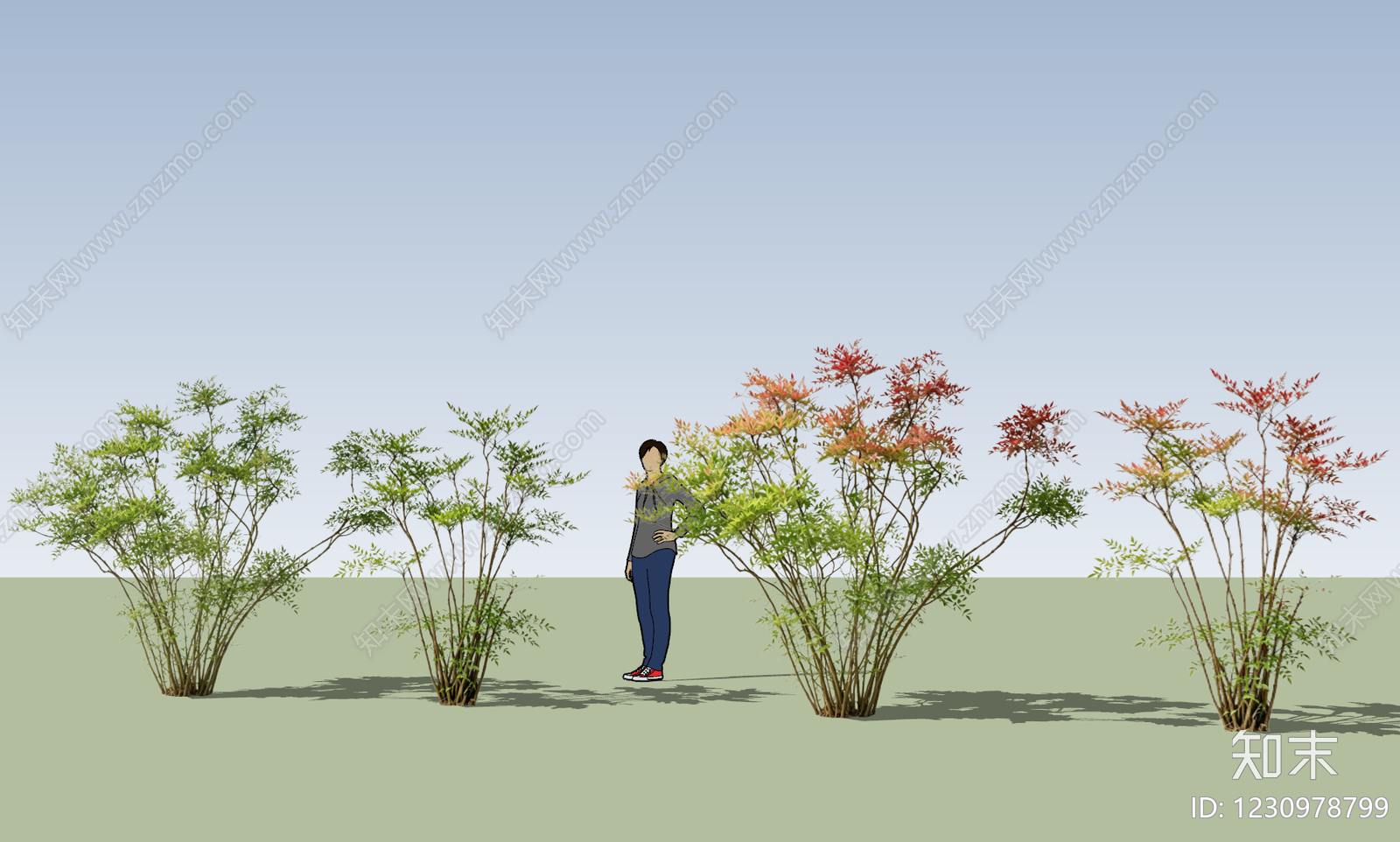 极简灌木SU模型下载【ID:1230978799】