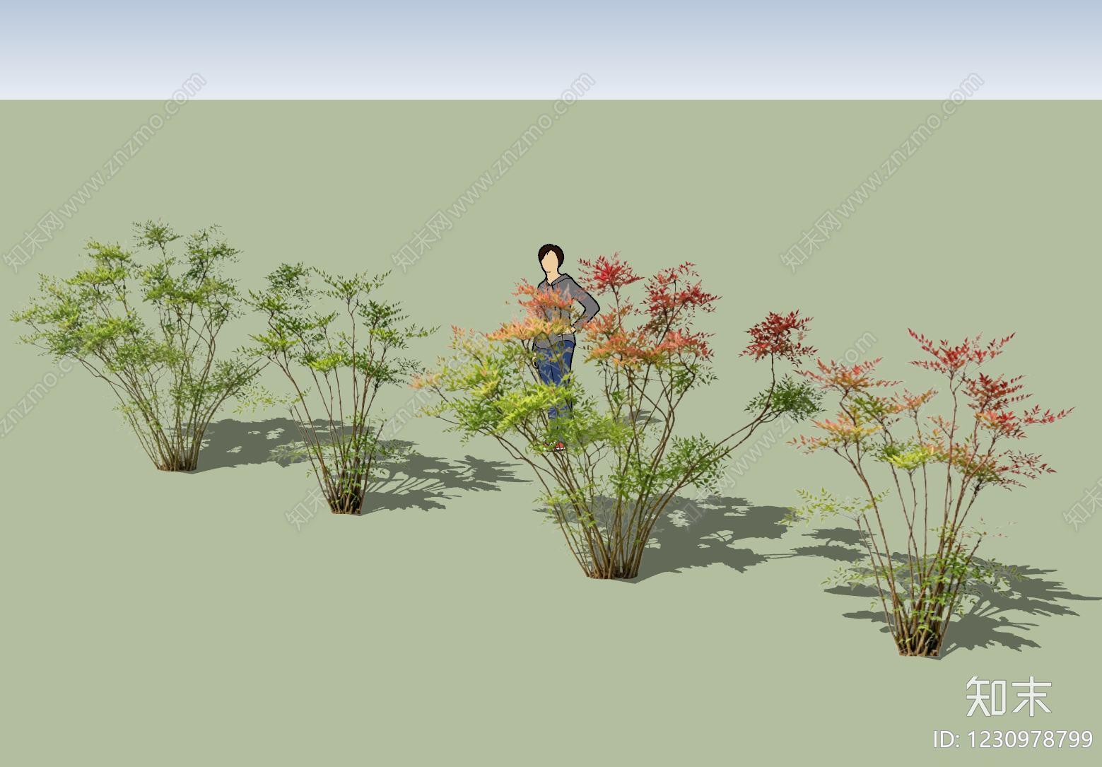 极简灌木SU模型下载【ID:1230978799】