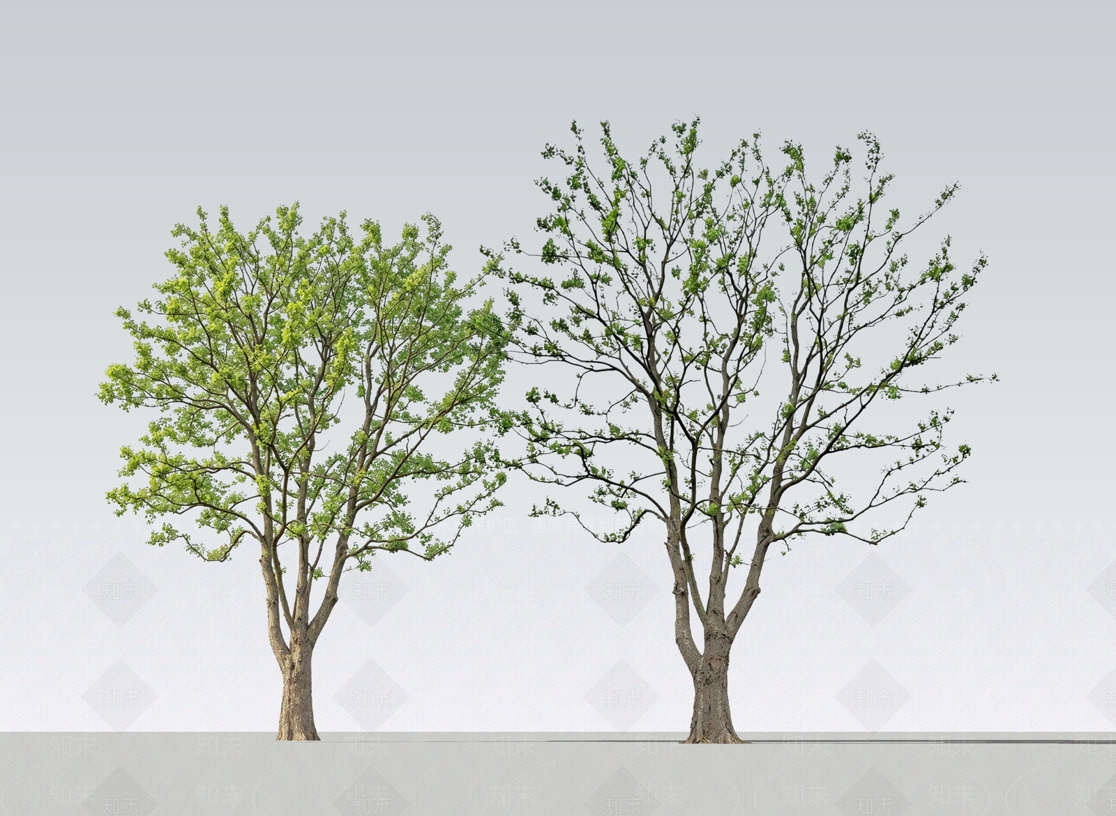 乔木SU模型下载【ID:1231009199】