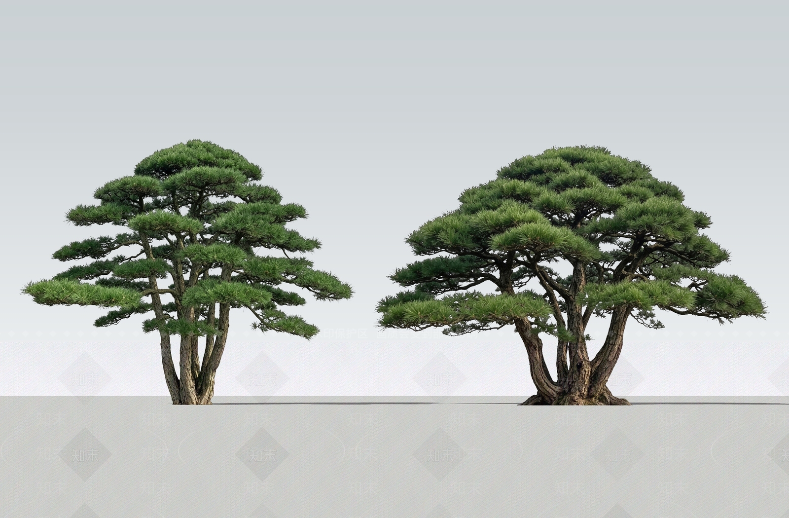 新中式景观乔木SU模型下载【ID:1231075894】