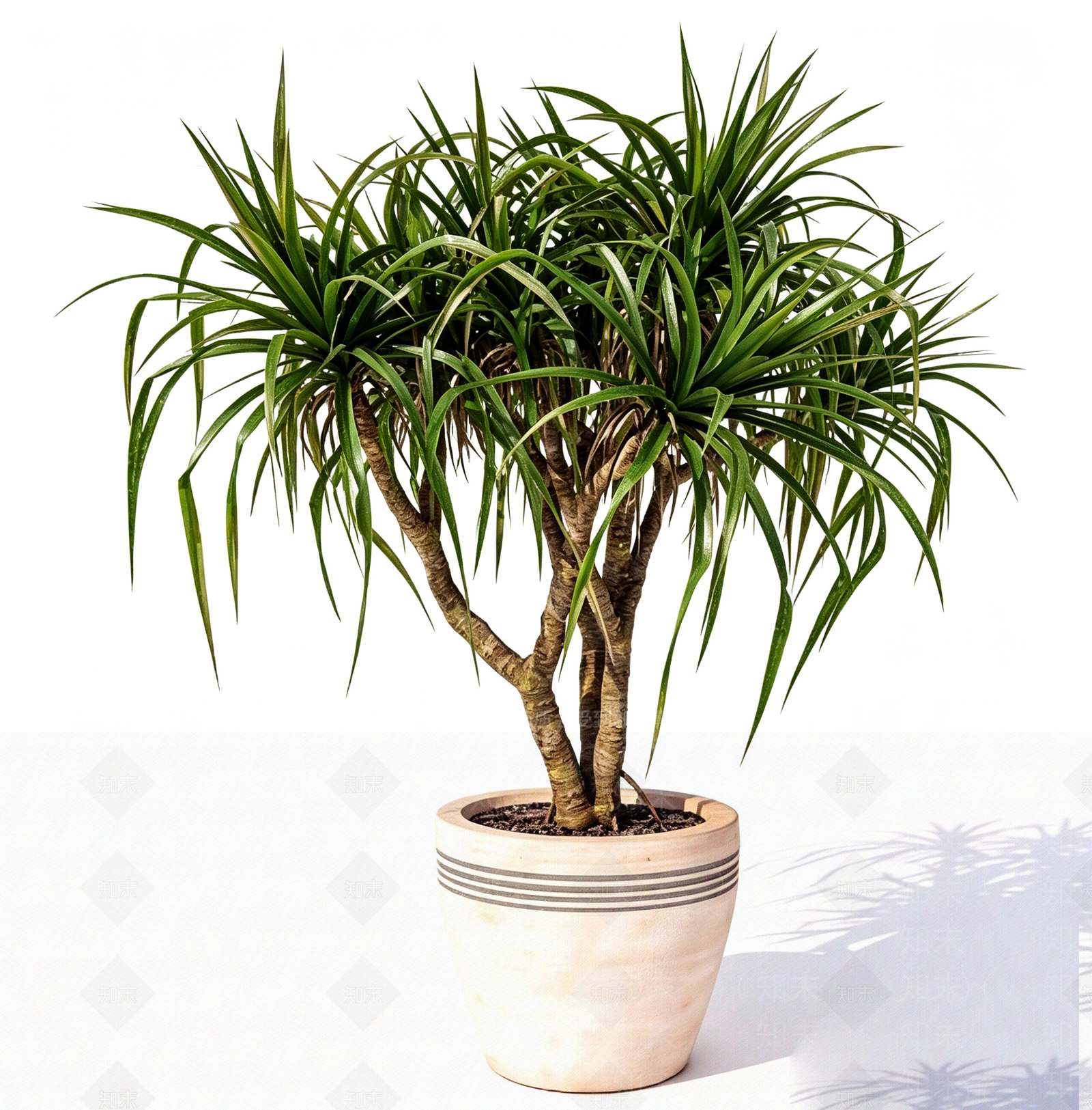 侘寂盆栽3D模型下载【ID:1231124317】