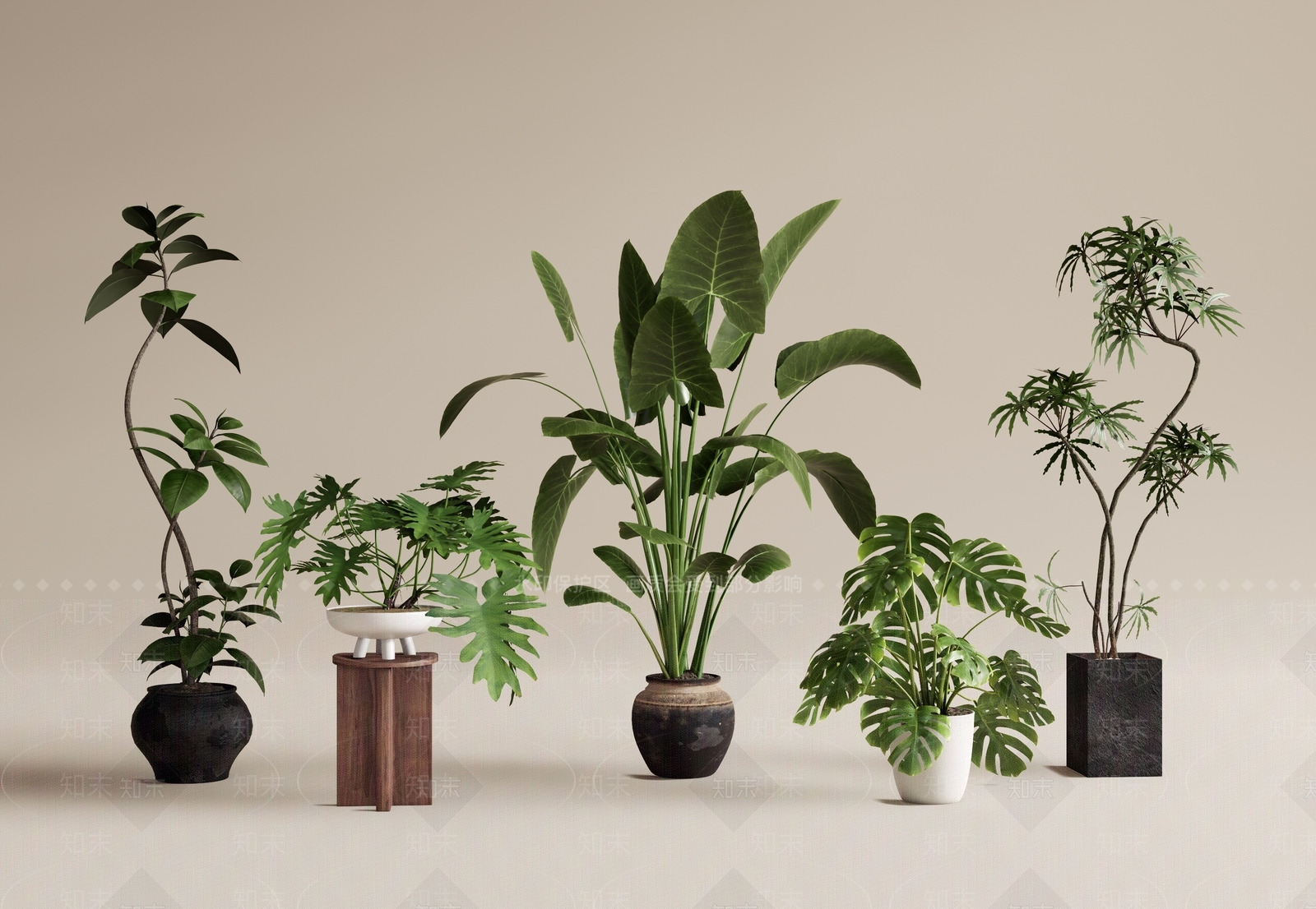 现代简约植物组合SU模型下载【ID:1231138645】