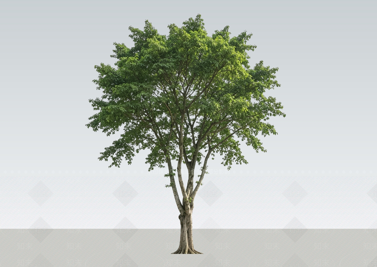 乔木SU模型下载【ID:1231149871】