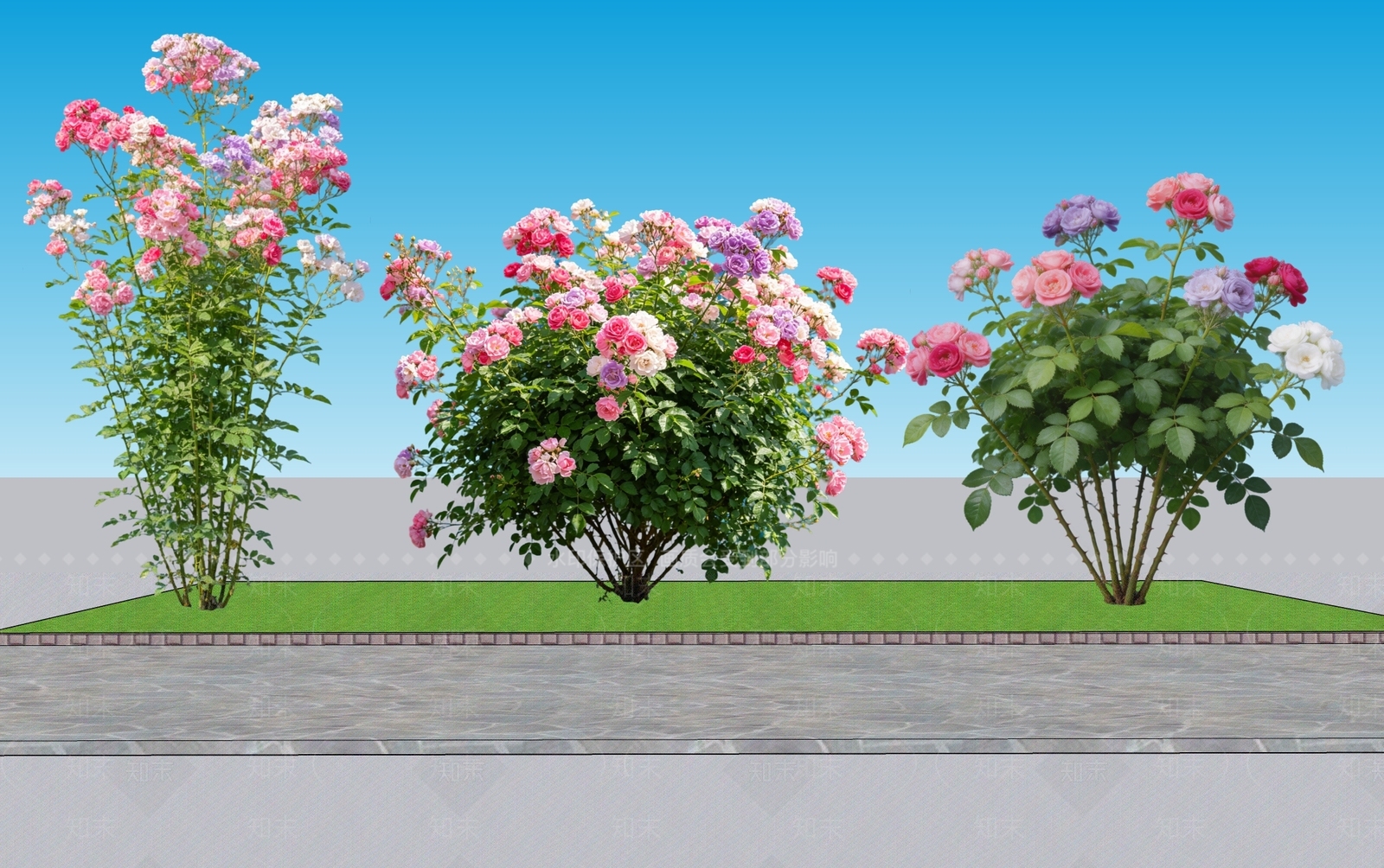现代主义灌木SU模型下载【ID:1231155027】