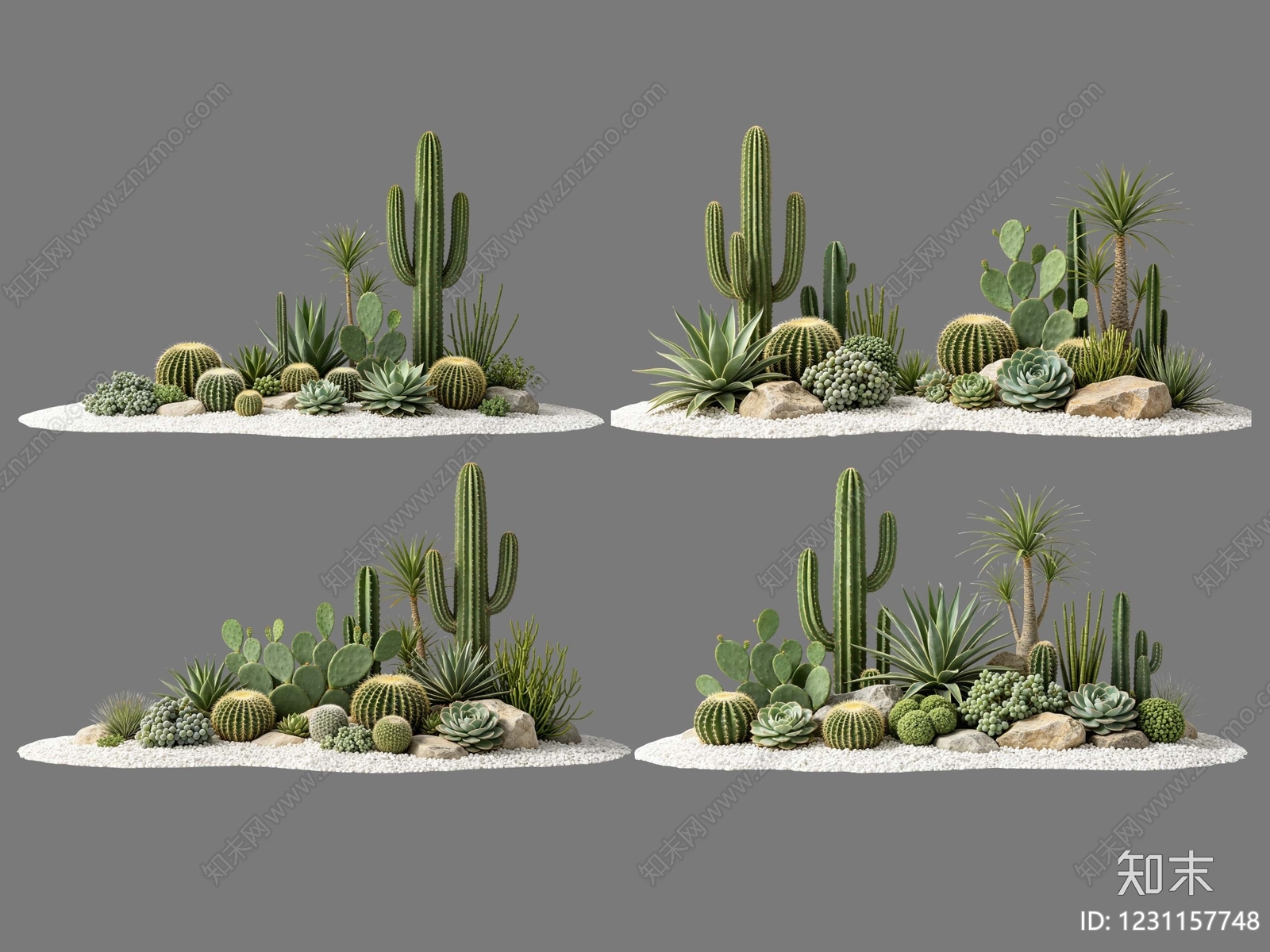 现代主义沙漠植物SU模型下载【ID:1231157748】