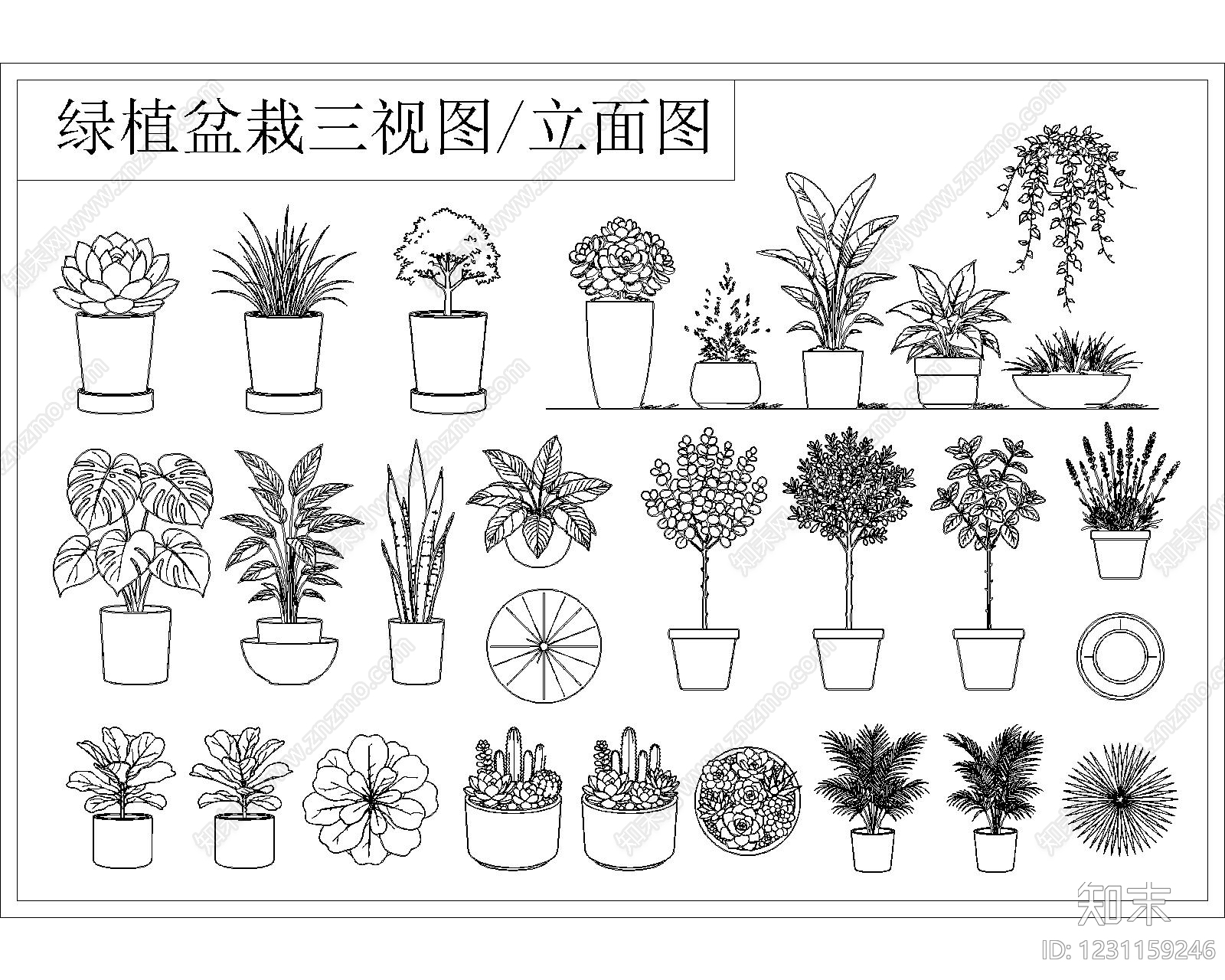 绿植cad施工图下载【ID:1231159246】