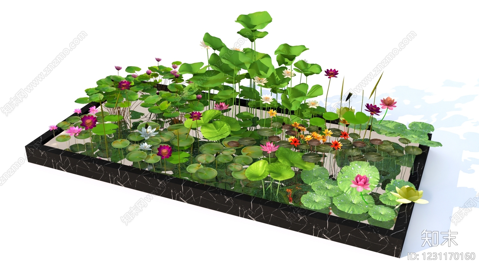 新中式景观水生植物3D模型渲染效果图