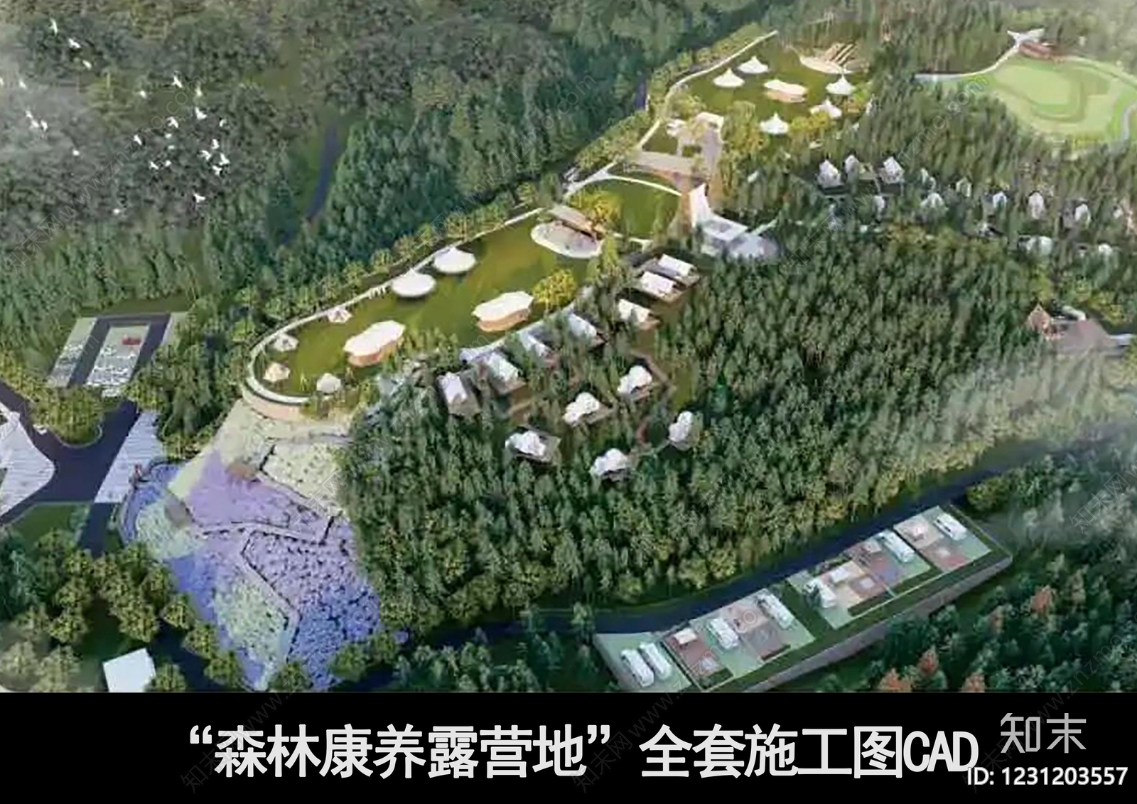 露营CAD图纸