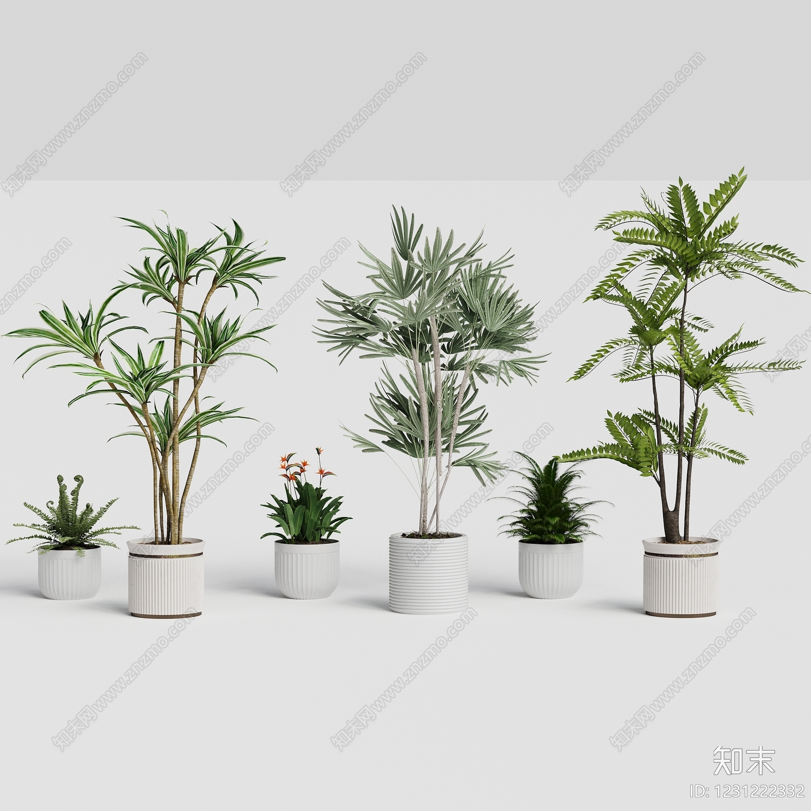 现代简约盆栽3D模型下载【ID:1231222332】