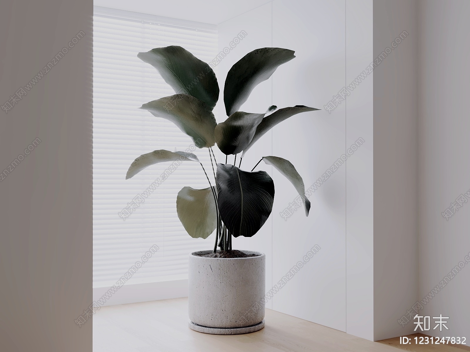 极简盆栽3D模型下载【ID:1231247832】