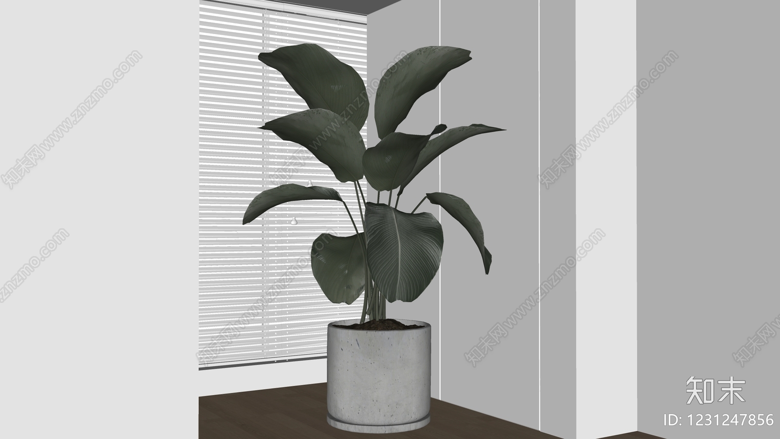 极简盆栽SU模型下载【ID:1231247856】