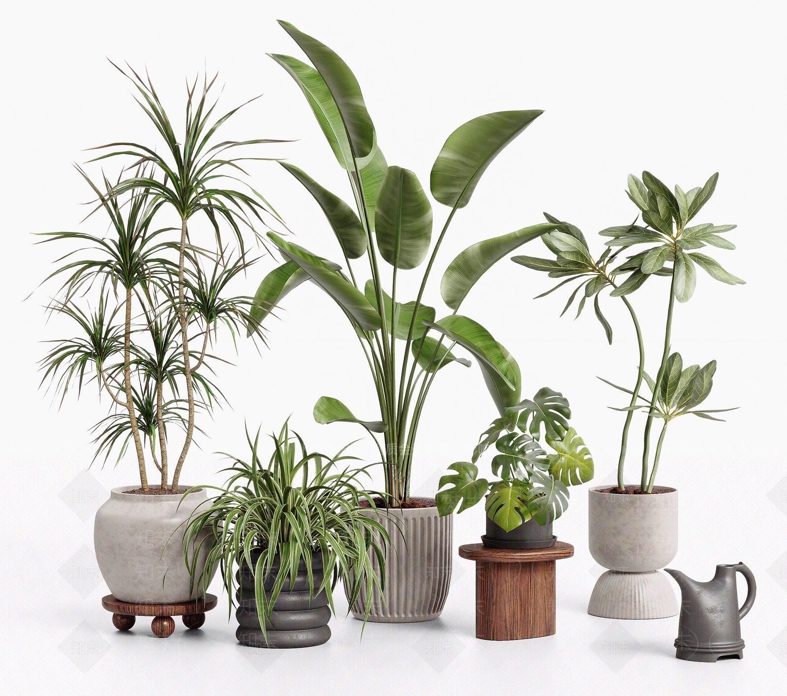 现代简约植物组合SU模型下载【ID:1231335686】
