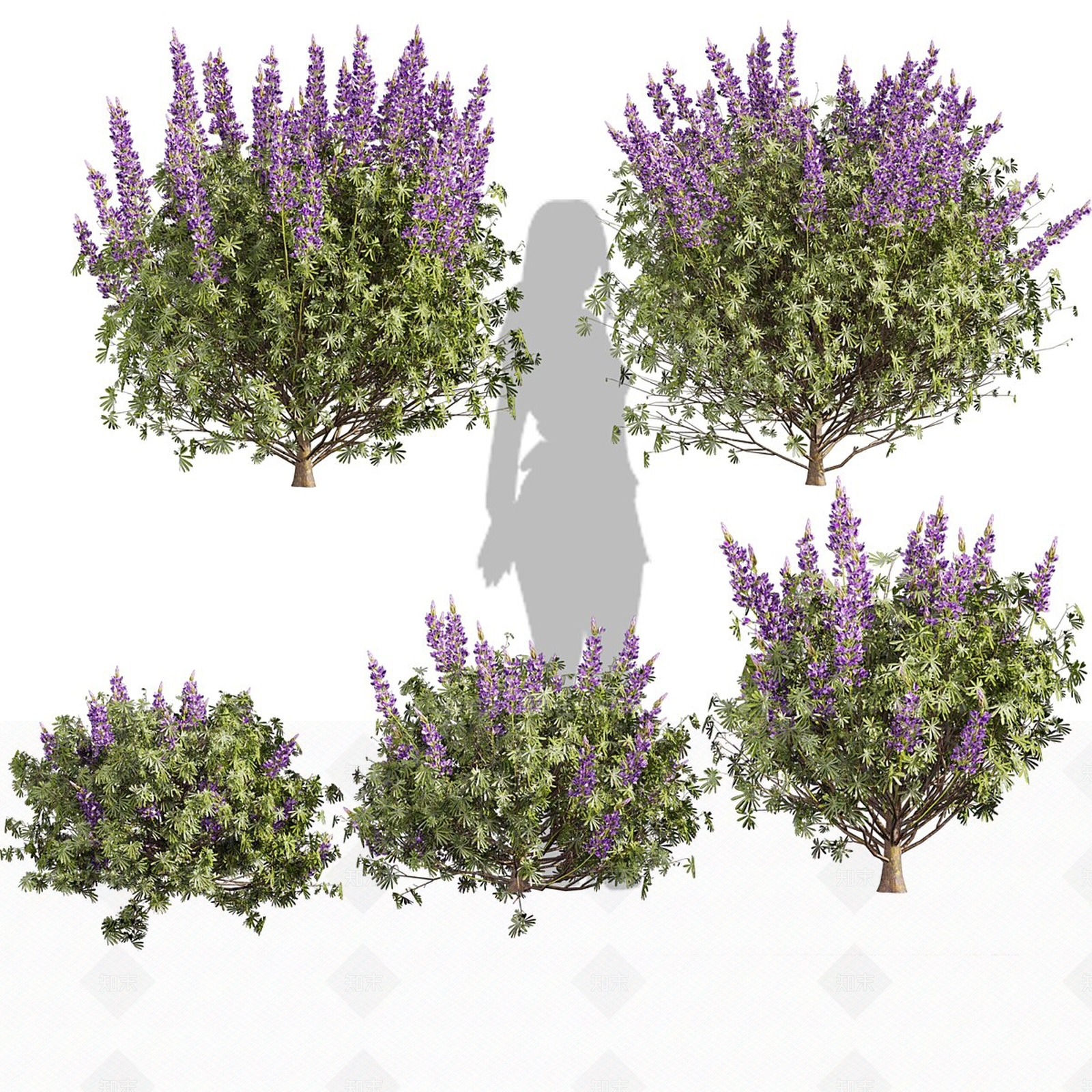 灌木3D模型下载【ID:1231454016】