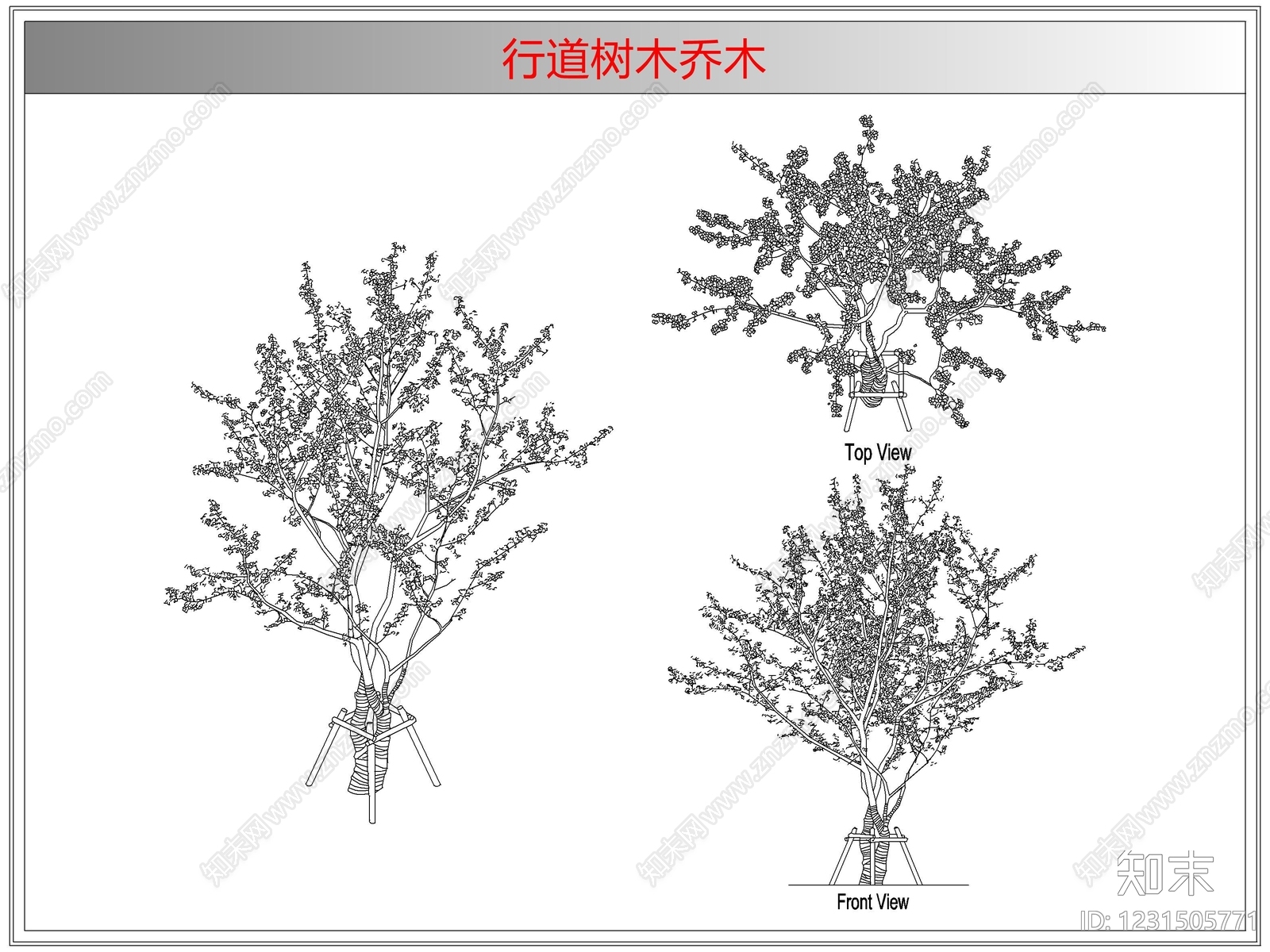 灌木种植CAD图纸