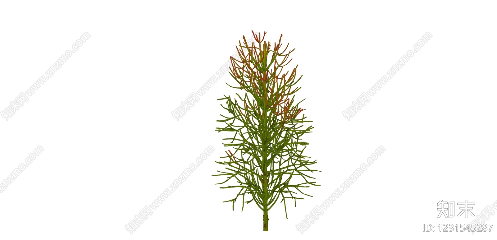 极简草本植物SU模型下载【ID:1231545287】