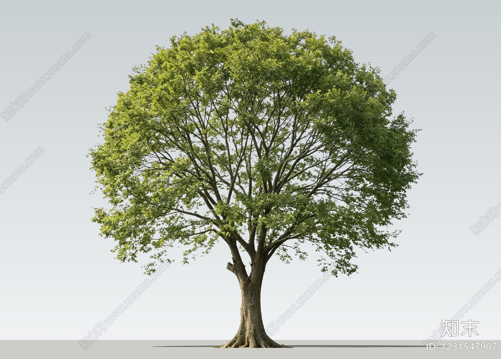 乔木SU模型下载【ID:1231547907】