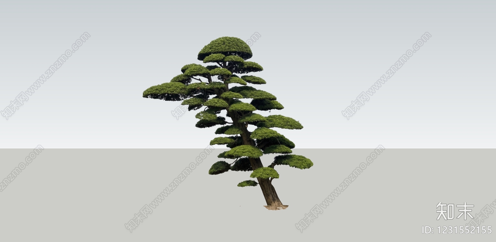 禅意乔木SU模型下载【ID:1231552155】