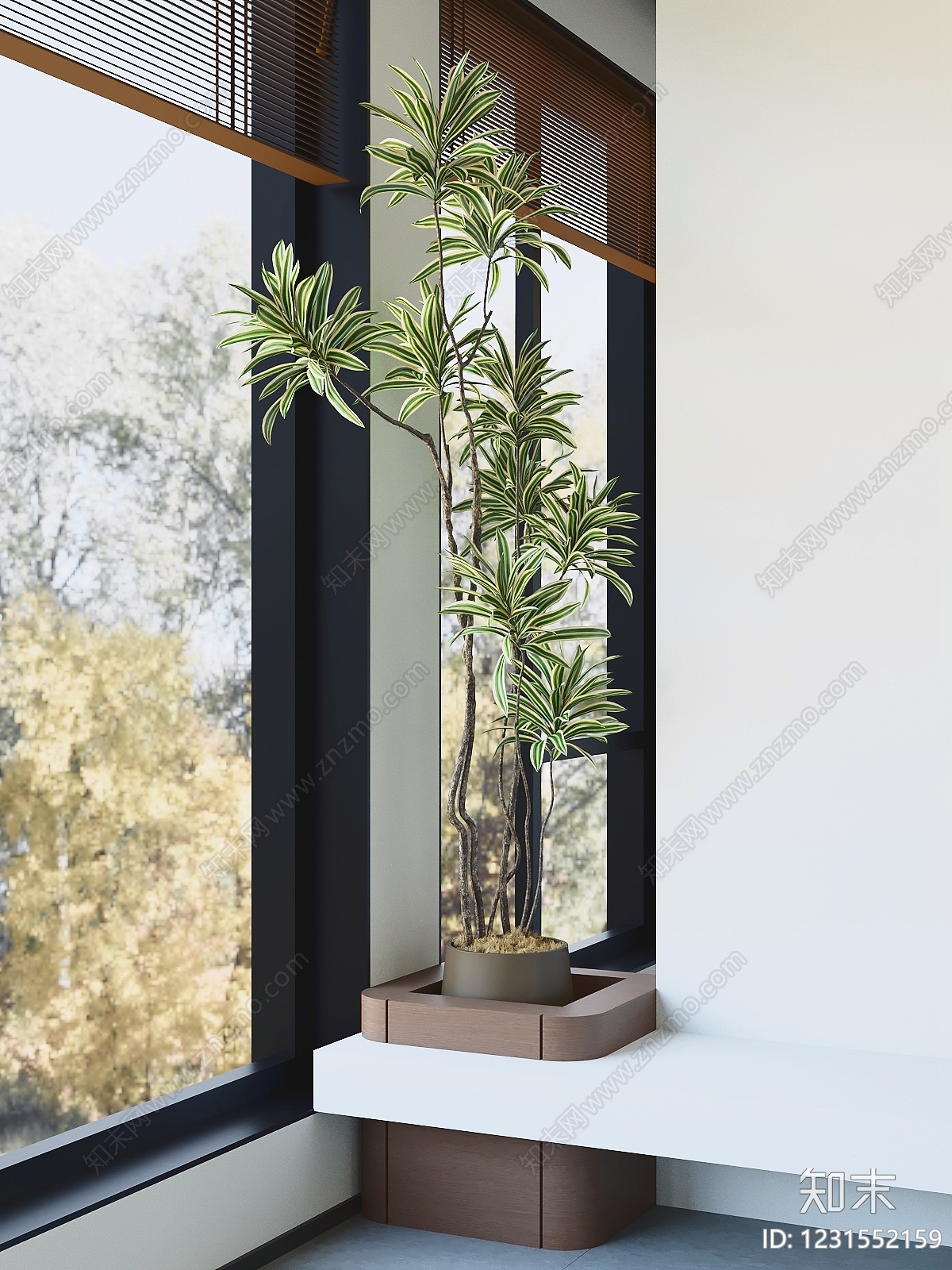 现代简约盆栽3D模型下载【ID:1231552159】