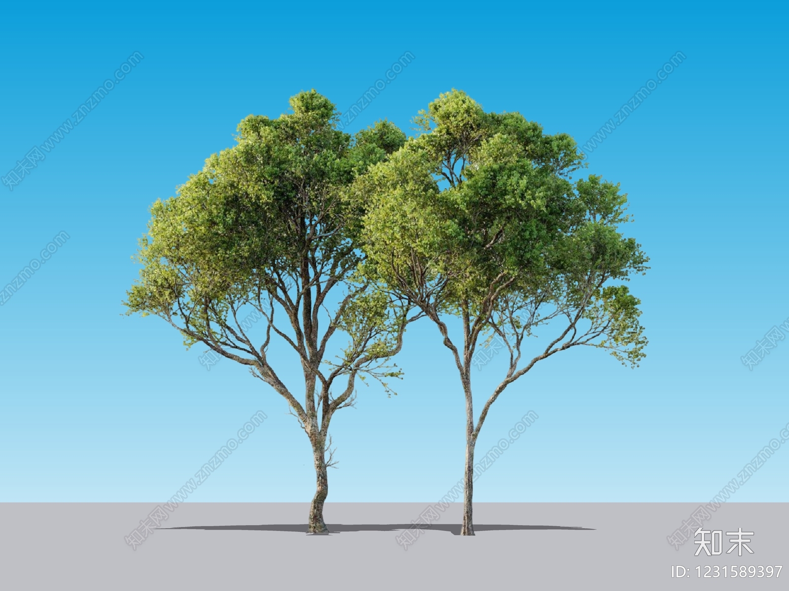 乔木SU模型下载【ID:1231589397】