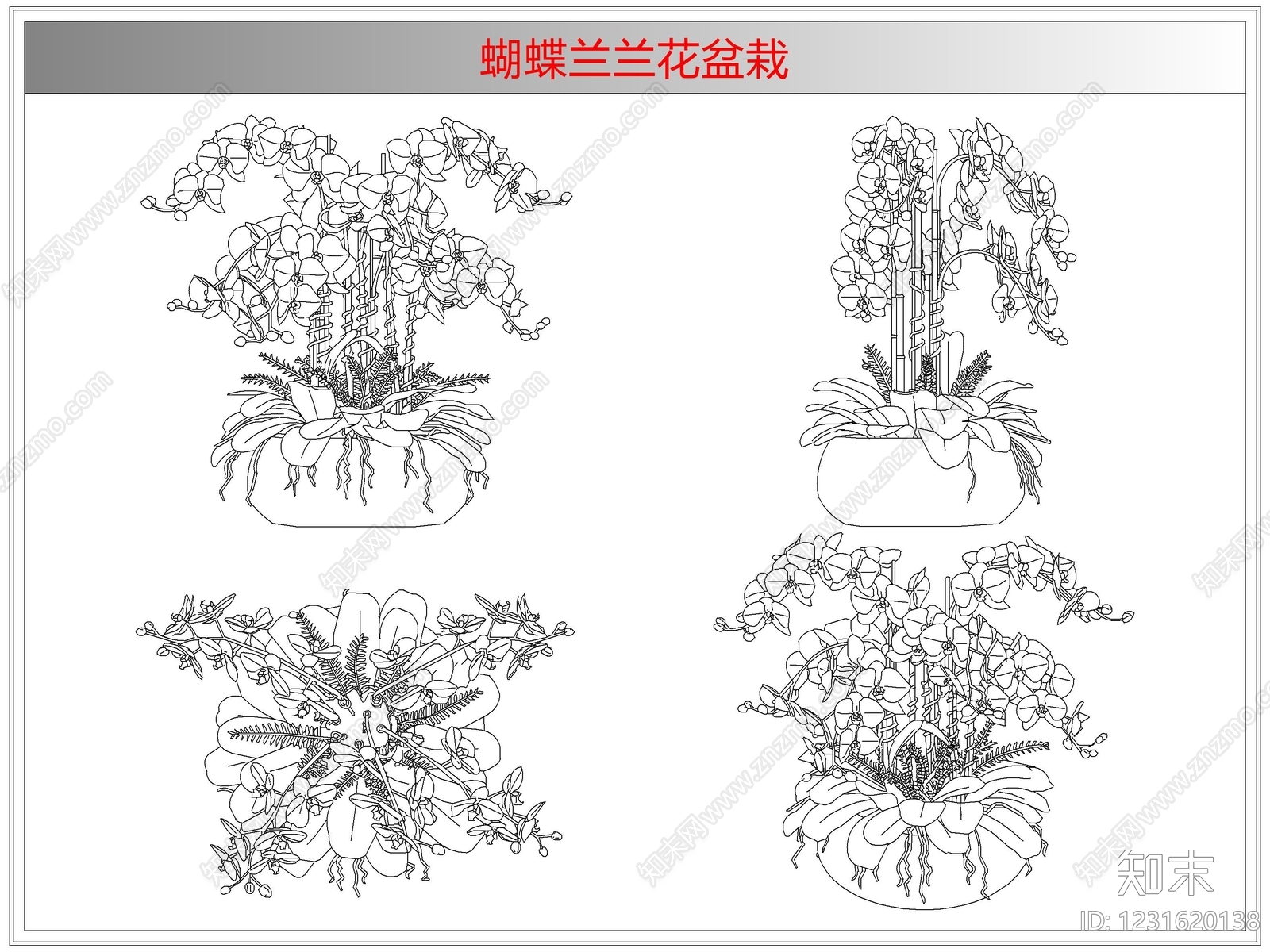 综合植物图库cad施工图下载【ID:1231620138】