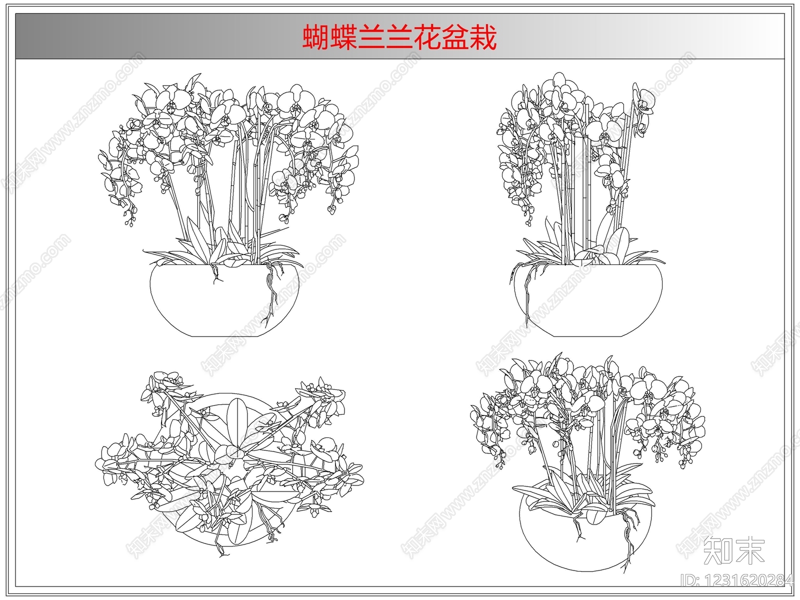 综合植物图库cad施工图下载【ID:1231620284】