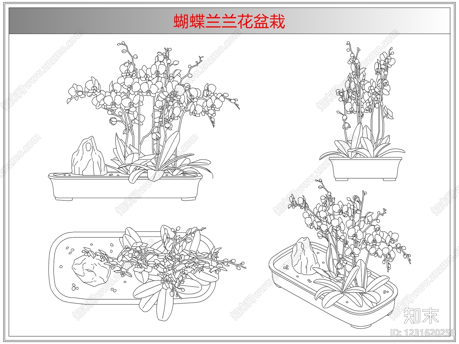 综合植物图库cad施工图下载【ID:1231620258】