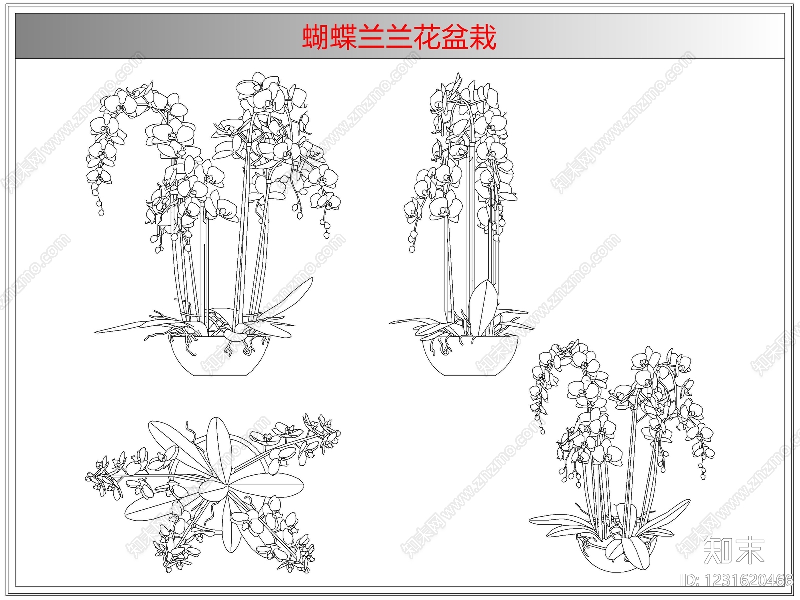 综合植物图库cad施工图下载【ID:1231620466】